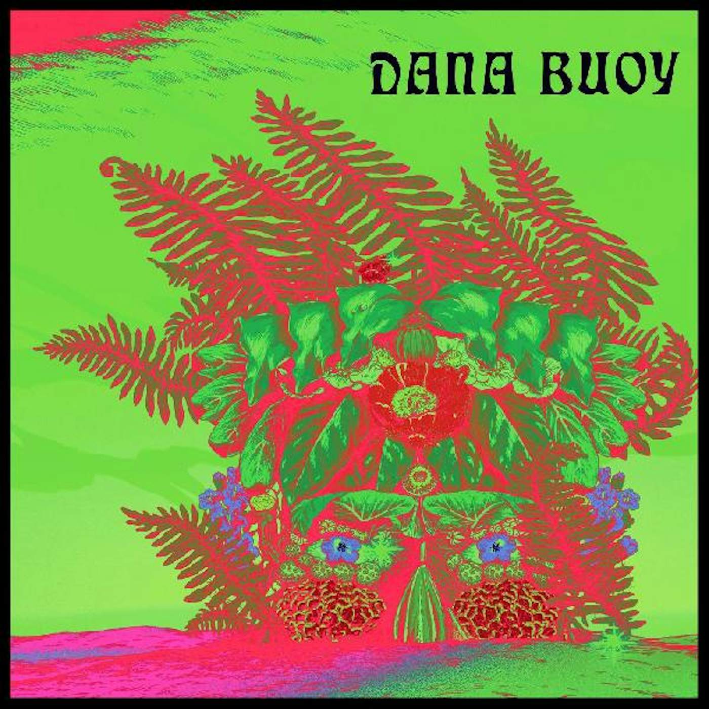 Dana Buoy EXPERIMENTS IN PLANT BASED MUSIC 1 CD