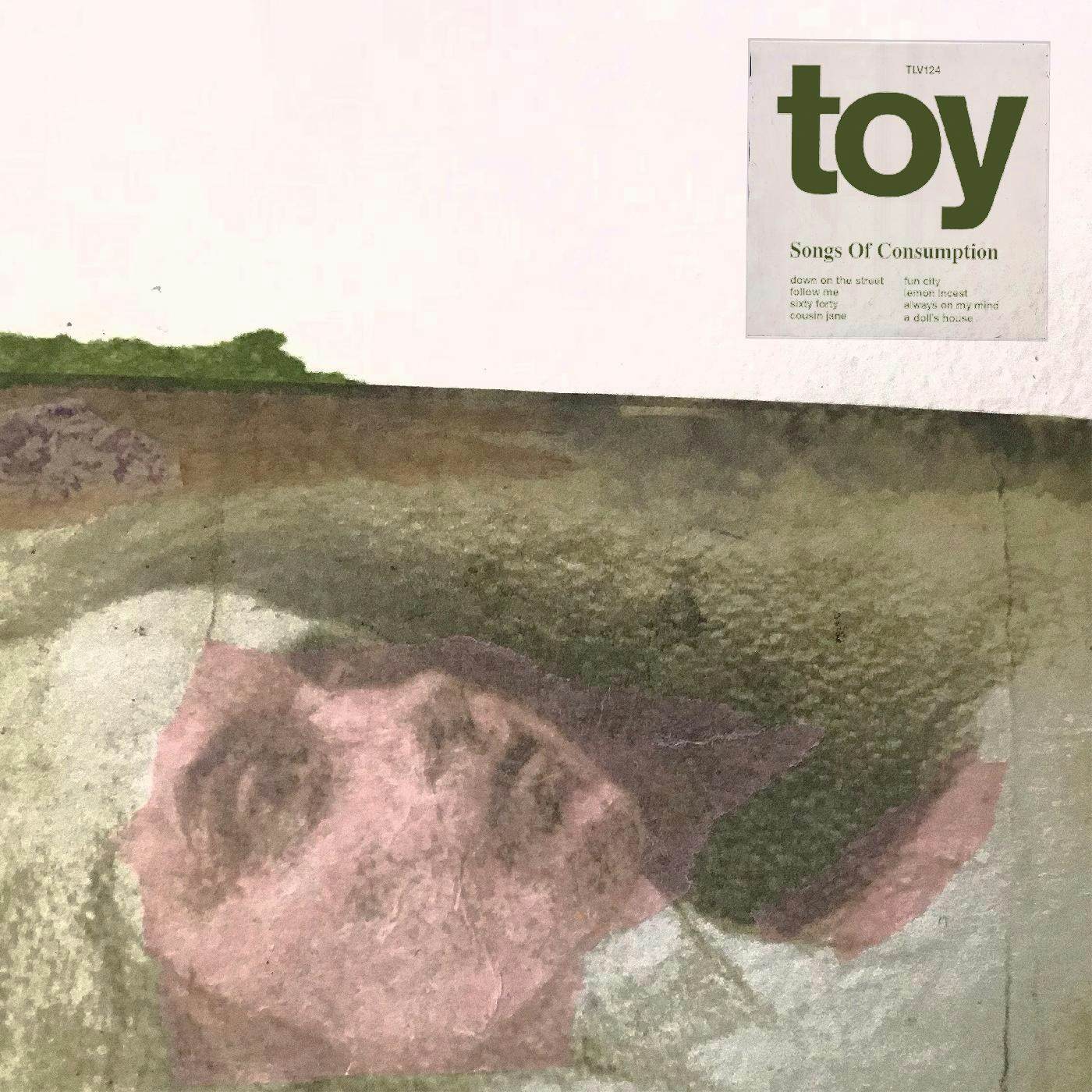 TOY Songs of consumption CD