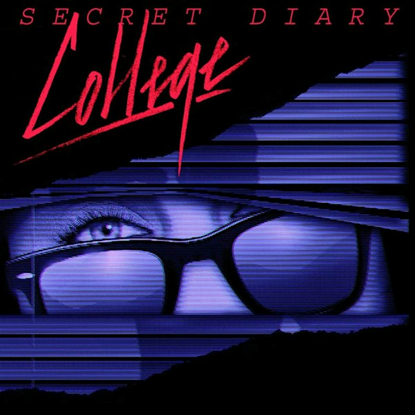 College Secret Diary Vinyl Record