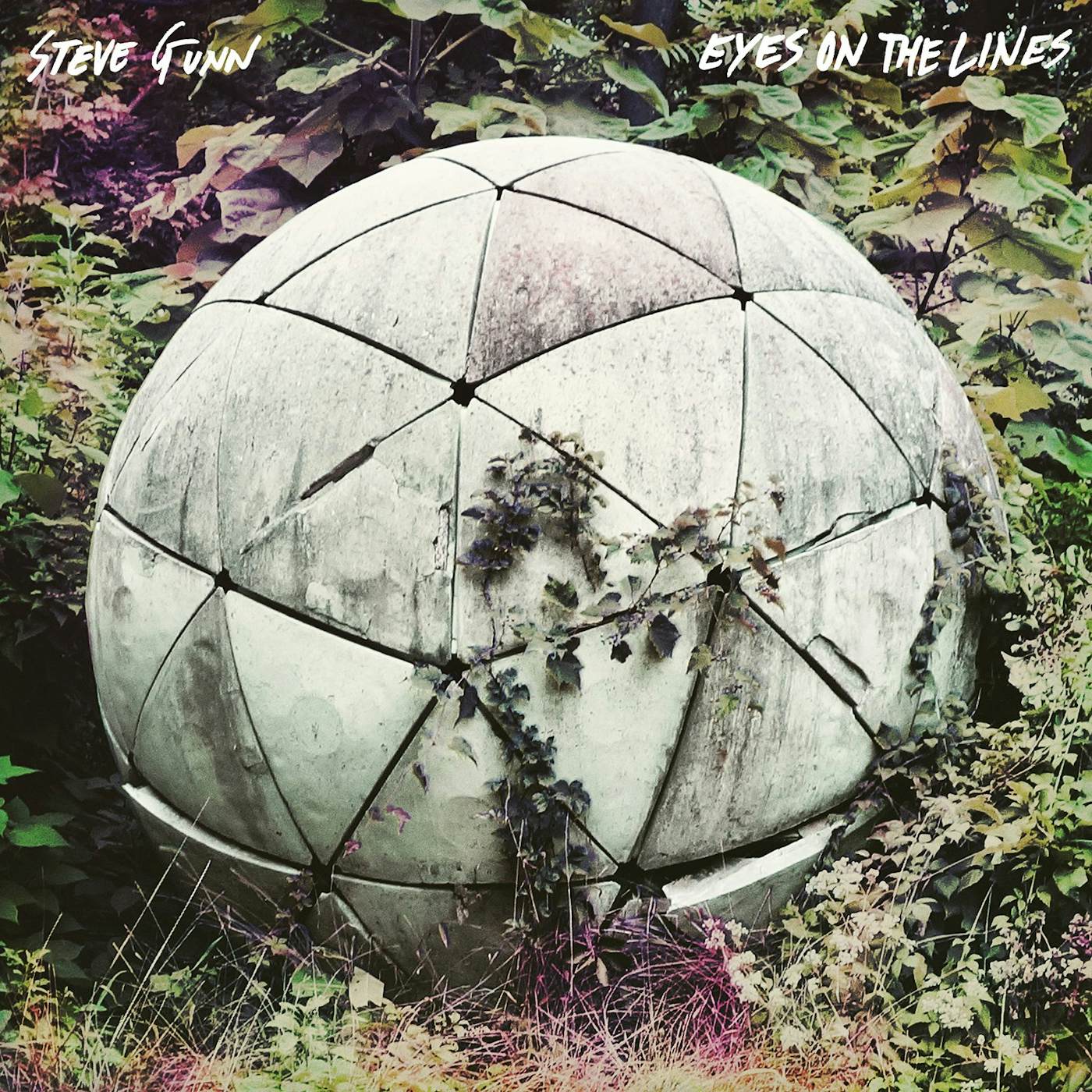 Steve Gunn & Mike Cooper EYES ON THE LINES Vinyl Record