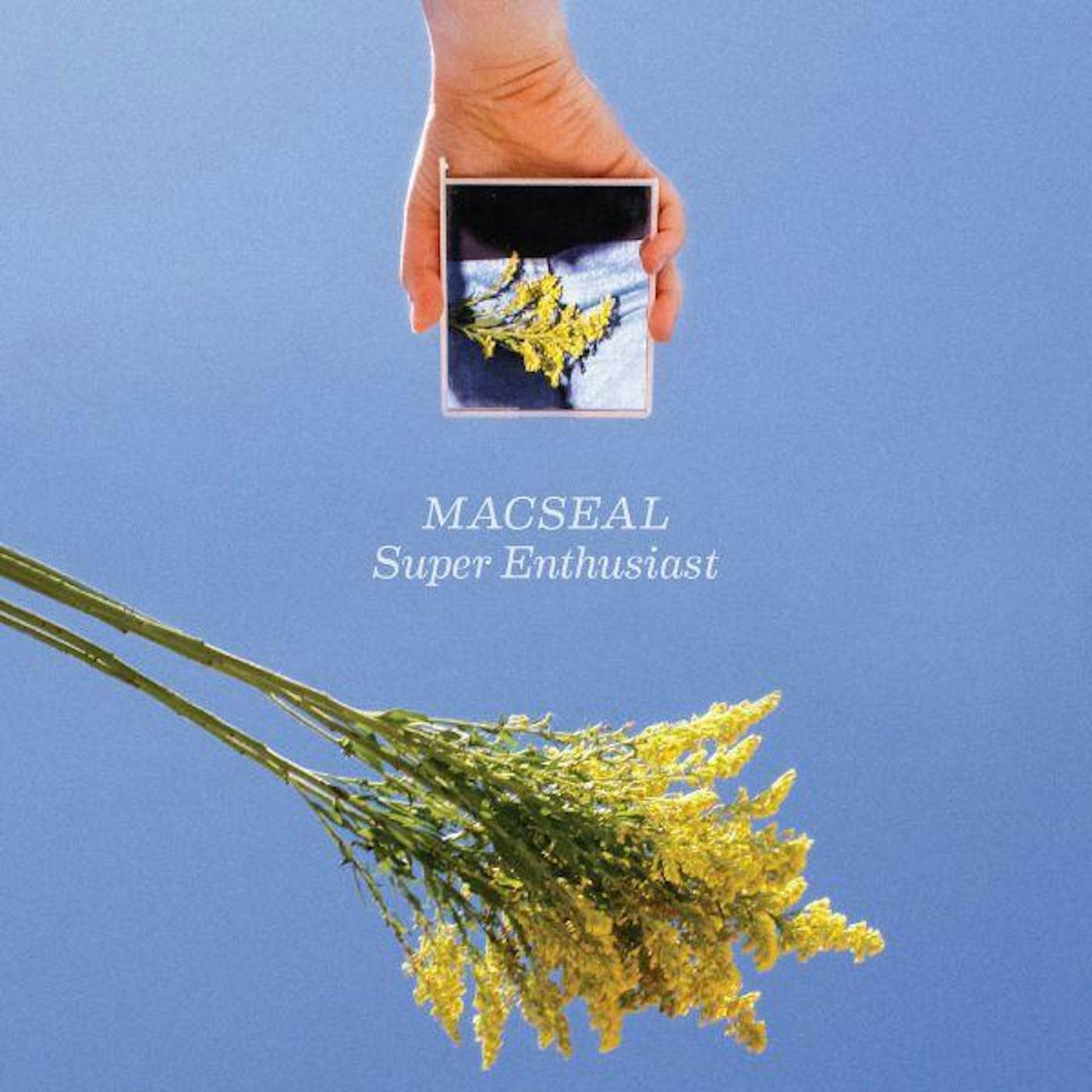 Macseal SUPER ENTHUSIAST (DOUBLEMINT VINYL) Vinyl Record