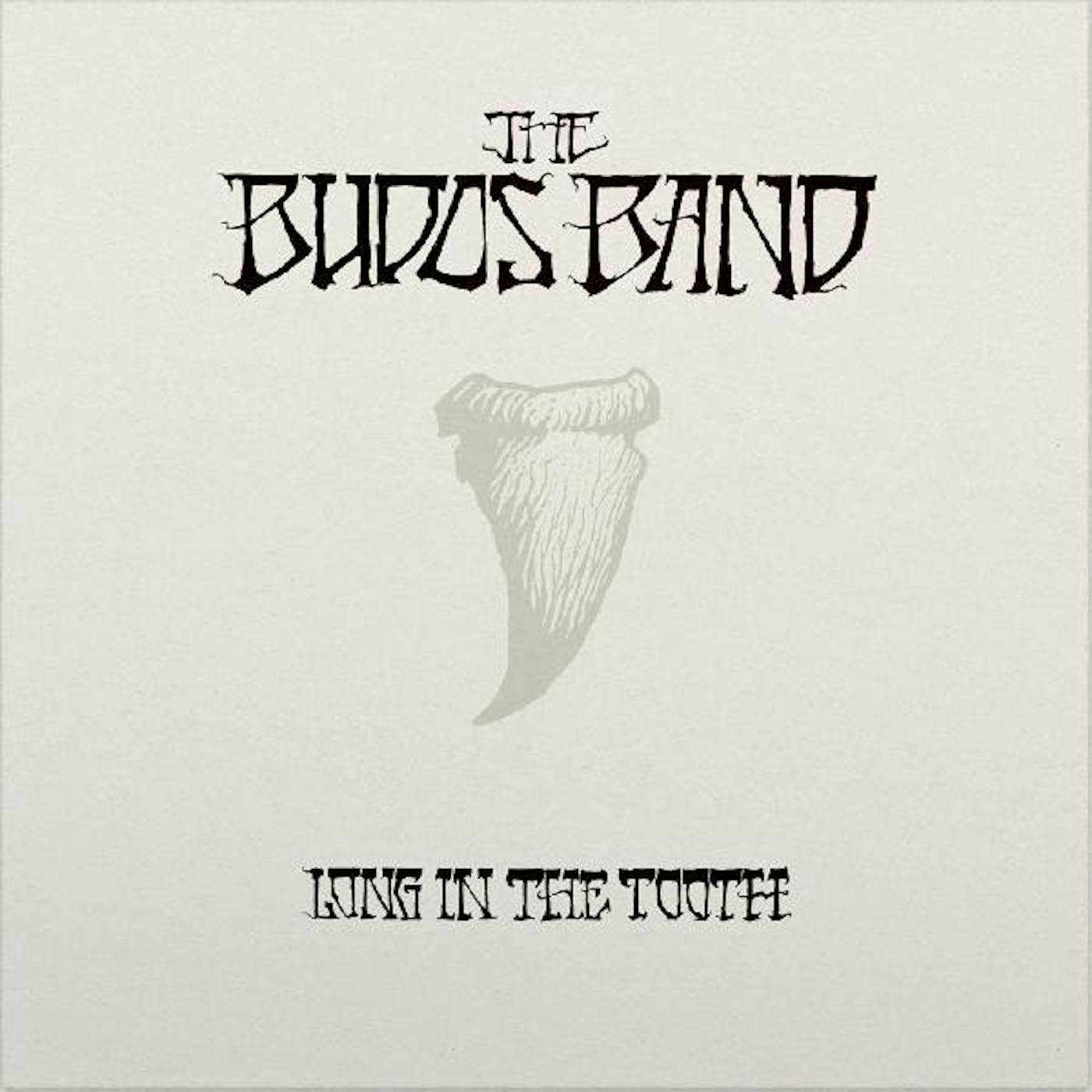 The Budos Band Long in the Tooth Vinyl Record