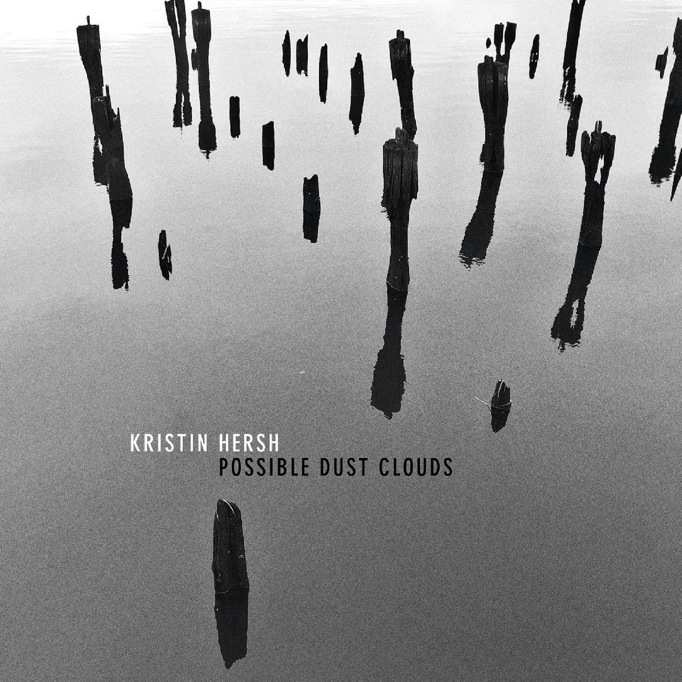 Kristin Hersh Possible Dust Clouds Vinyl Record