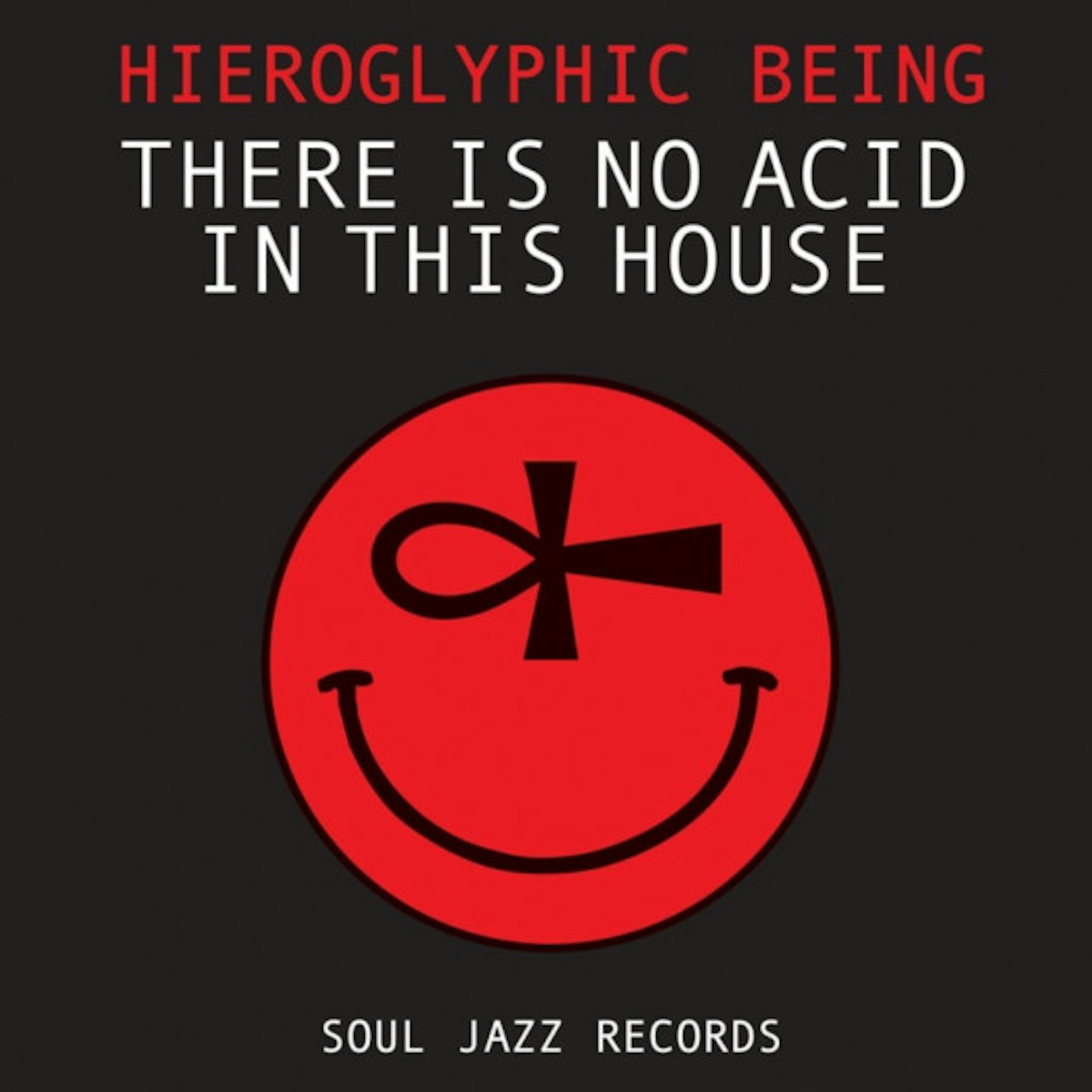 januar I udlandet Amfibiekøretøjer Hieroglyphic Being There Is No Acid In This House Vinyl Record