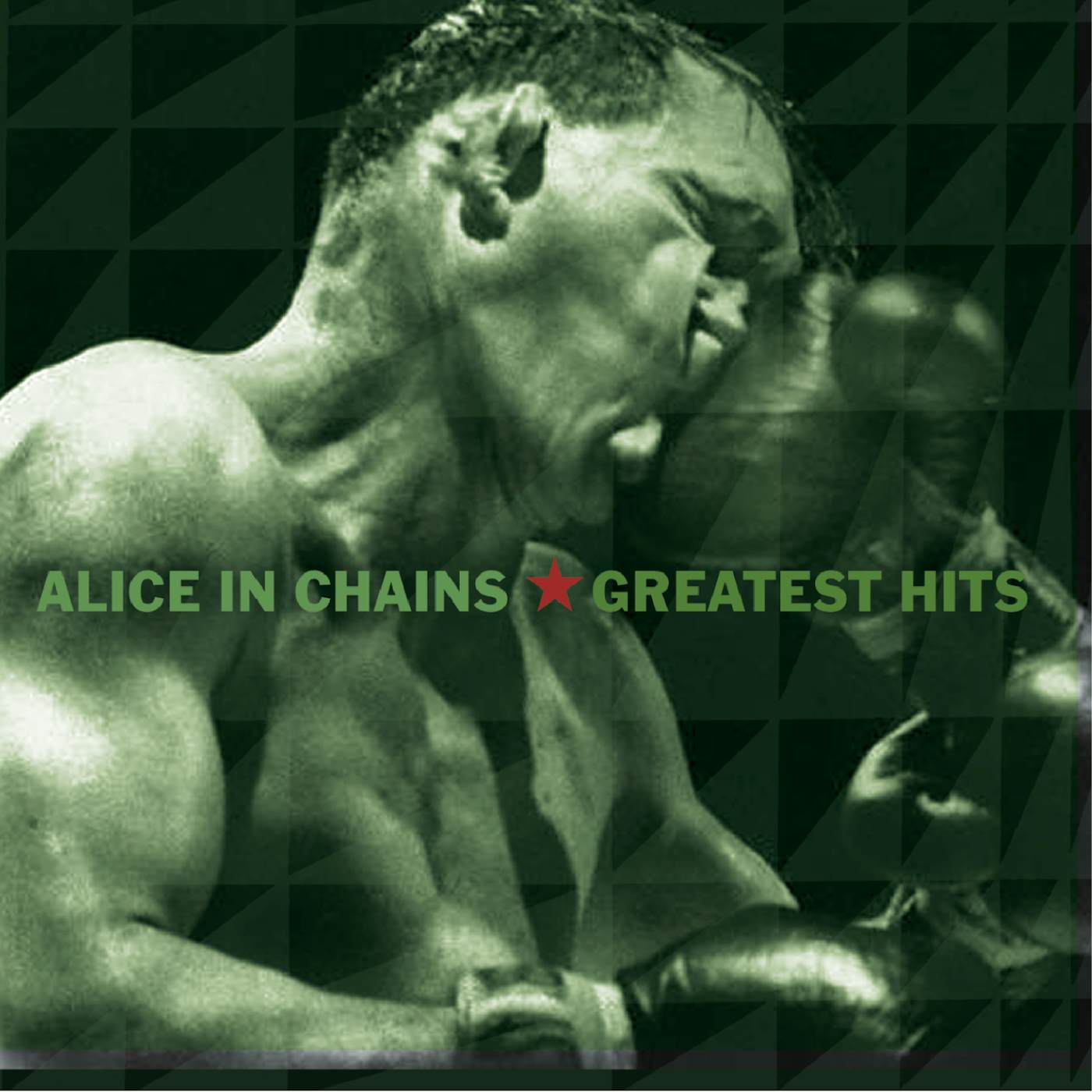 Alice In Chains GREATEST HITS CD