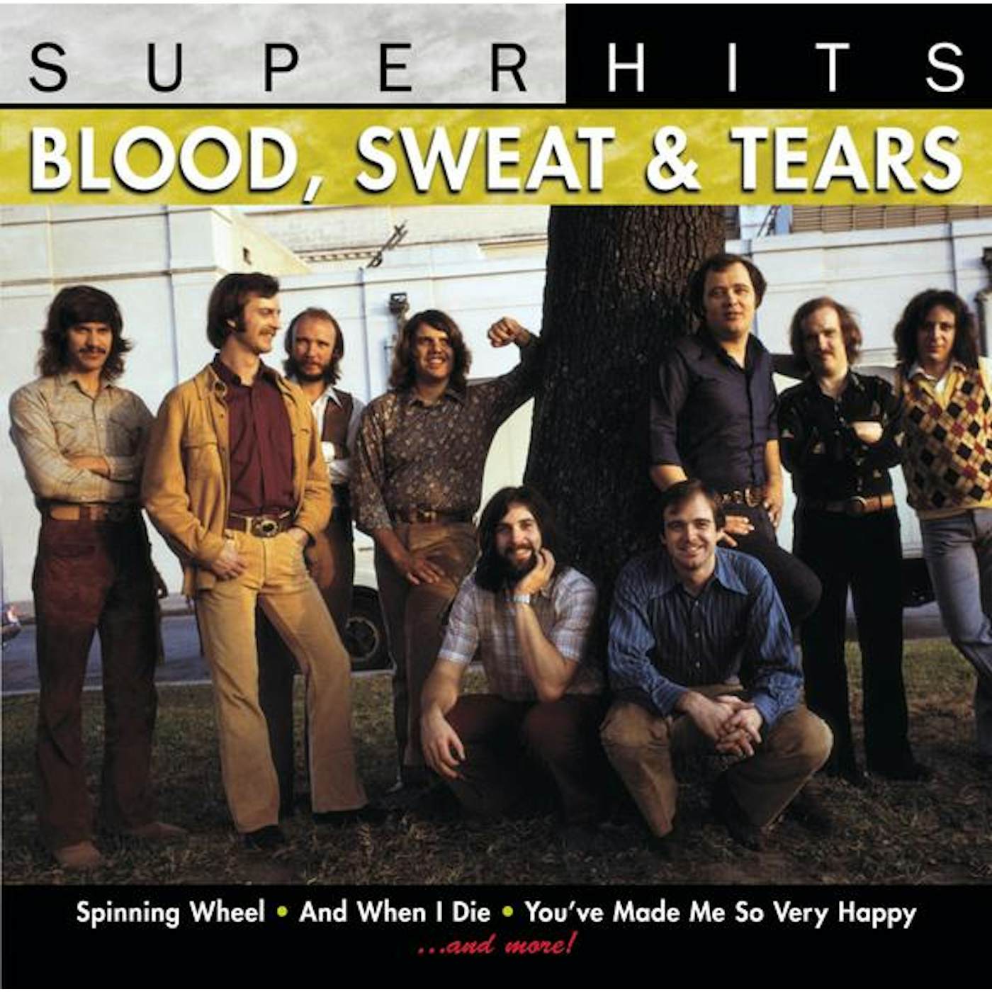 Blood, Sweat & Tears SUPER HITS CD