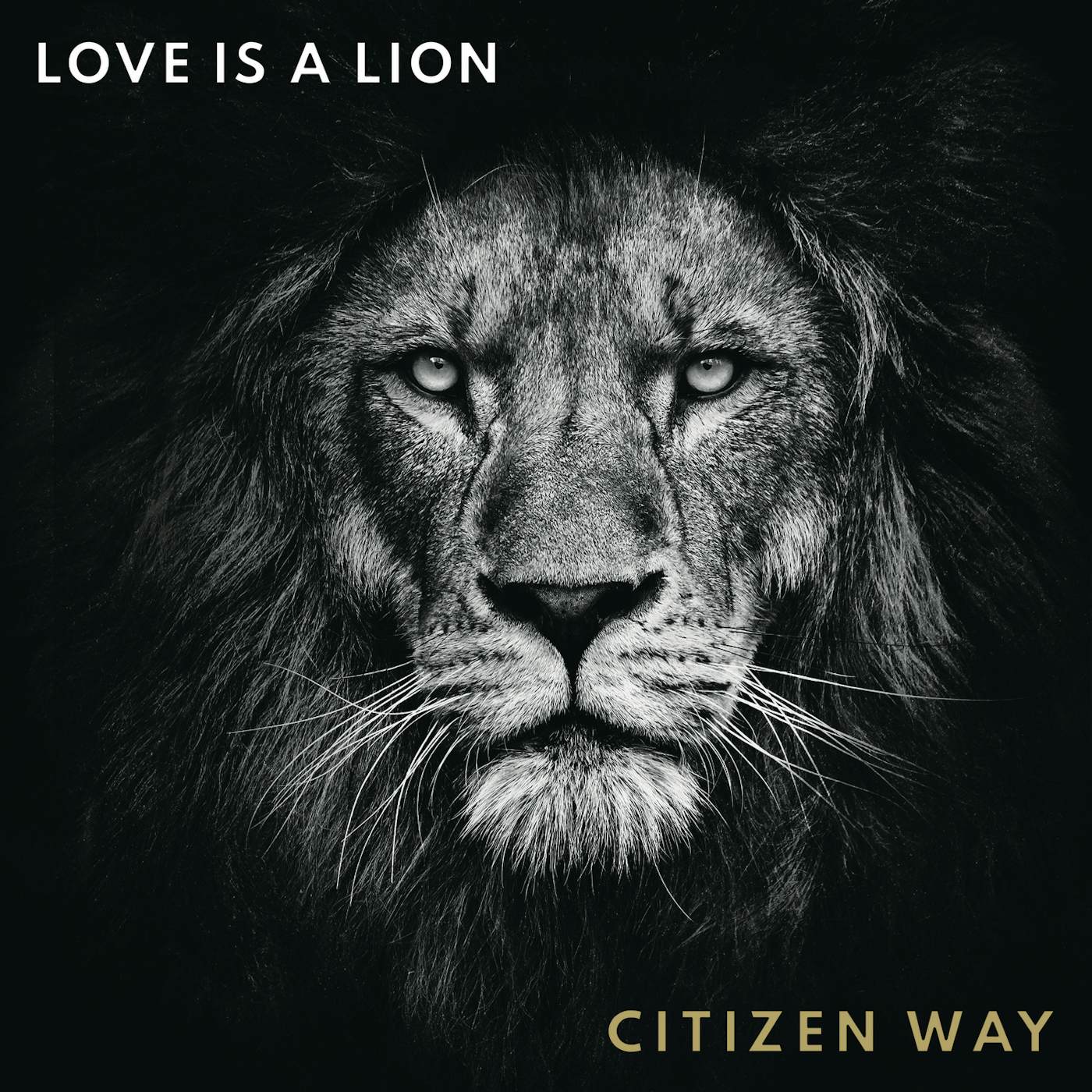 Citizen Way LOVE IS A LION CD