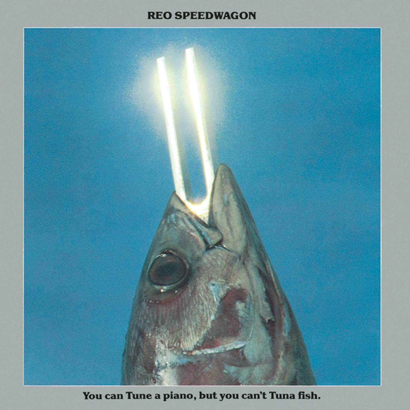 REO Speedwagon YOU CAN TUNE A PIANO BUT YOU CAN'T TUNA FISH CD