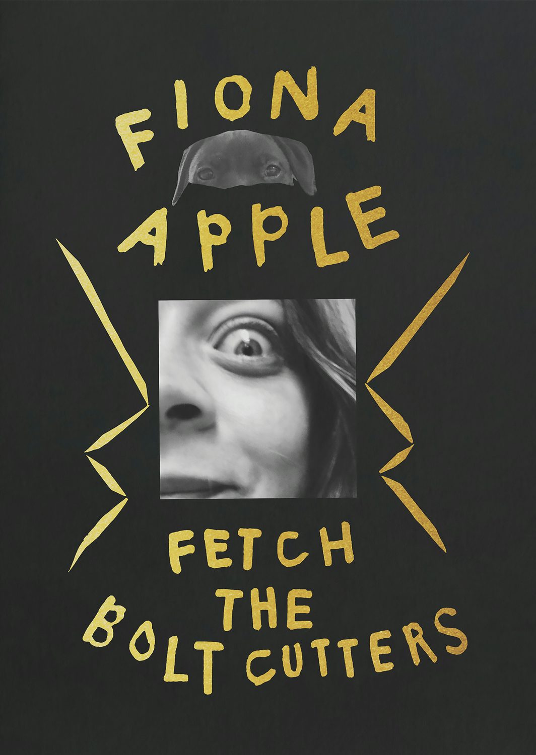 Fiona Apple FETCH THE BOLT CUTTERS CD