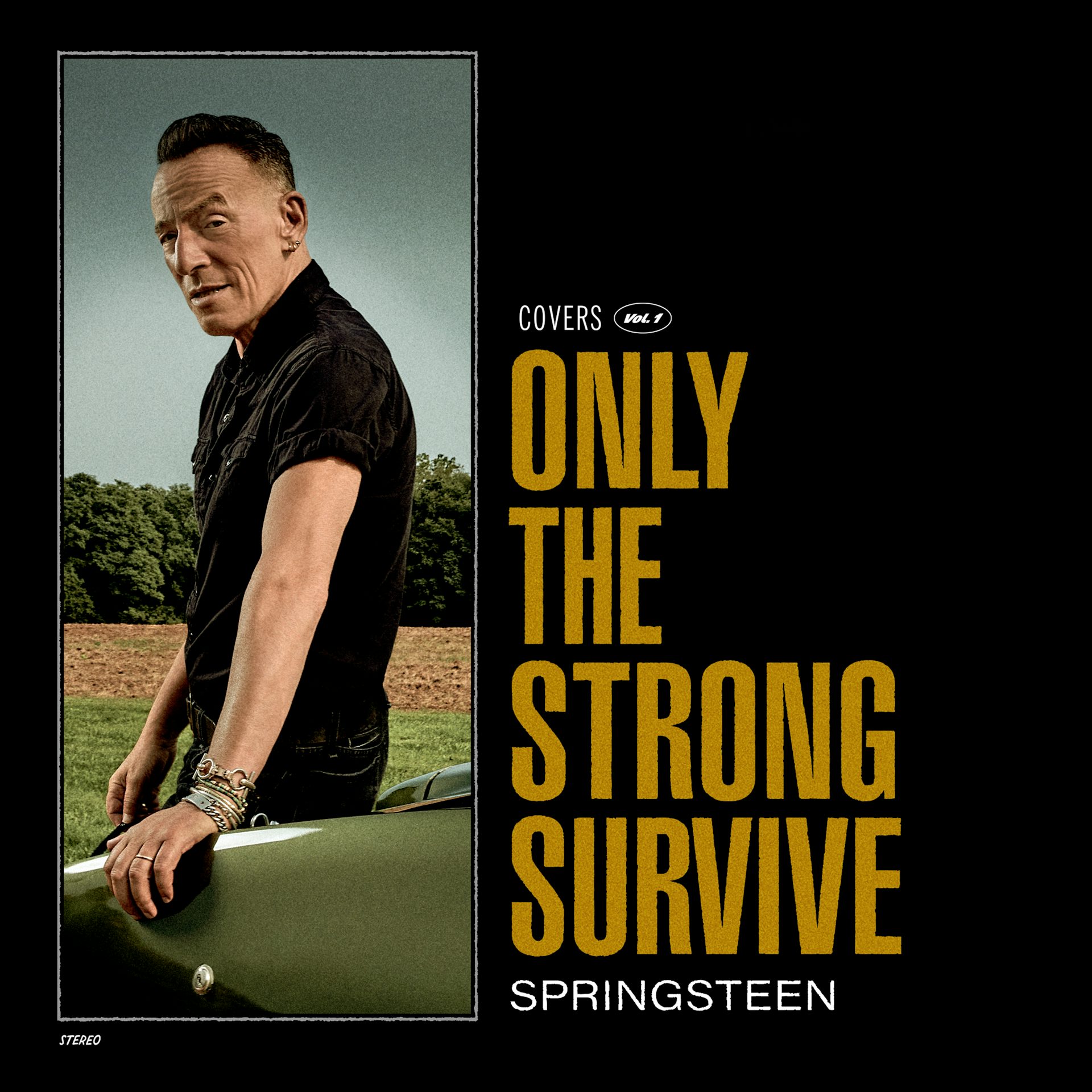Bruce Springsteen Only The Strong Survive (Gatefold/Poster/Etching