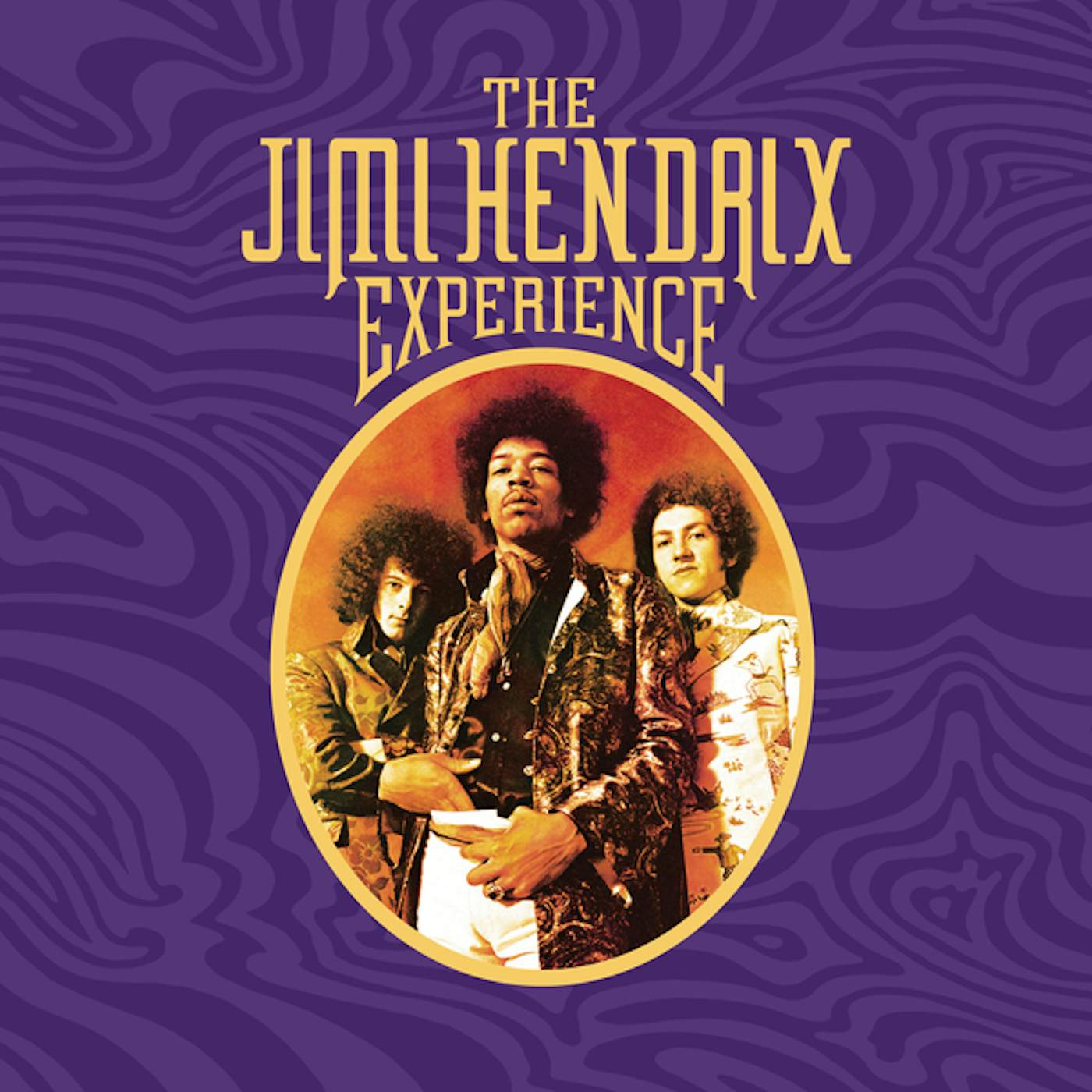 Jimi Hendrix Experience  (8LP / 180g / Box Set) (Vinyl)