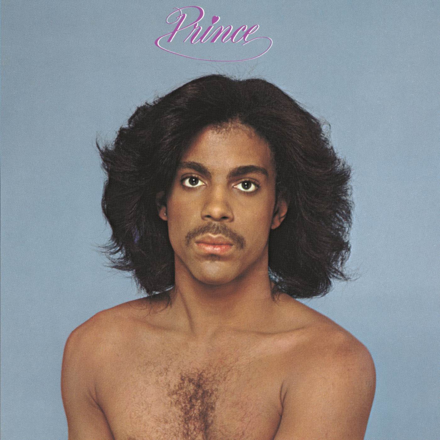Prince (X) Vinyl Record