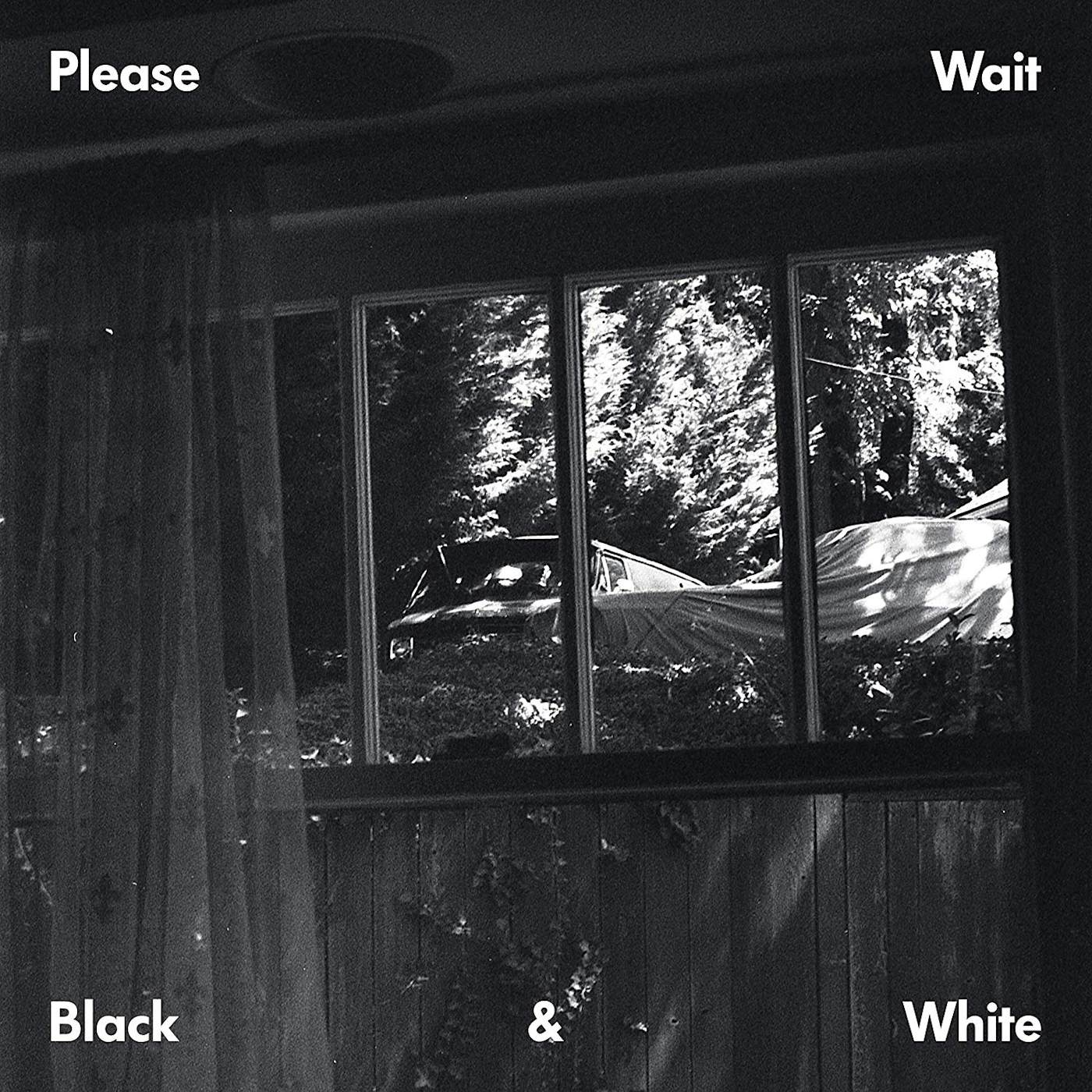 PLEASE WAIT (Ta-Ku & Matt Mcwaters) BLACK & WHITE Vinyl Record