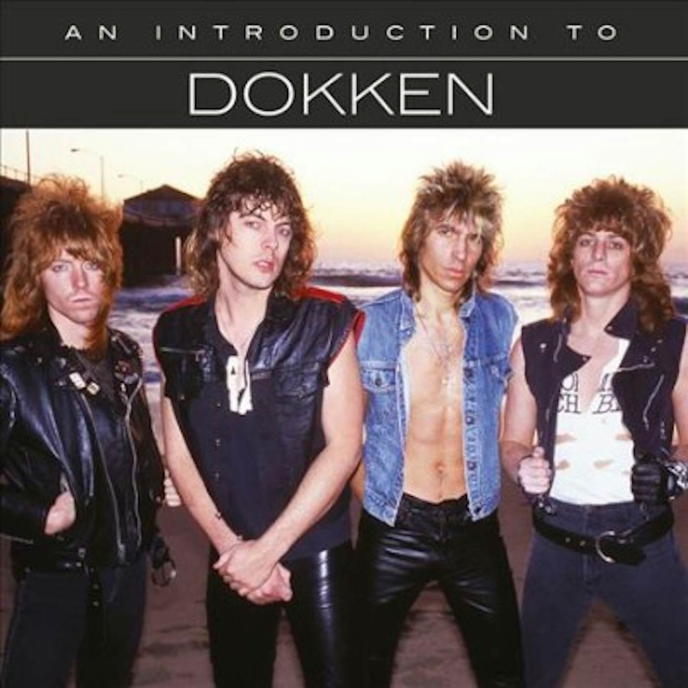 Dokken AN INTRODUCTION TO CD