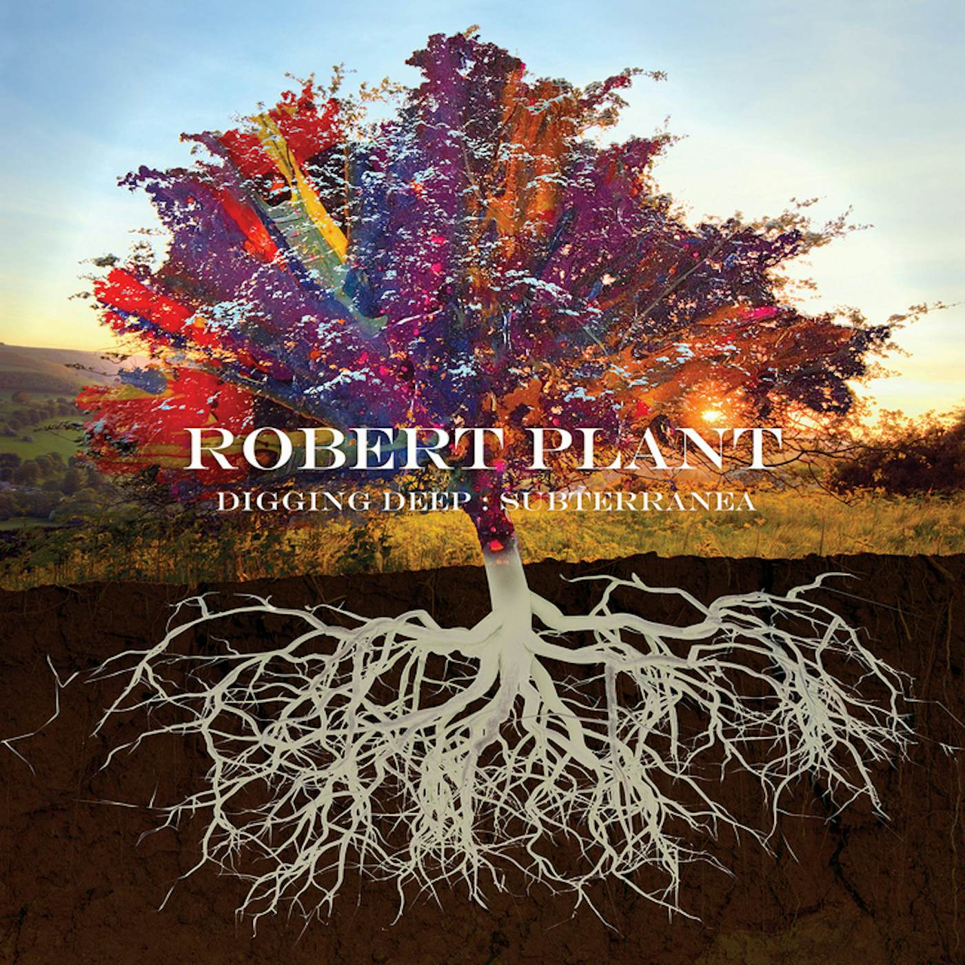 Robert Plant DIGGING DEEP: SUBTERRANEA CD