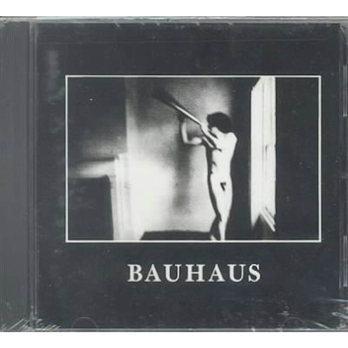 Bauhaus IN THE FLAT FIELD CD