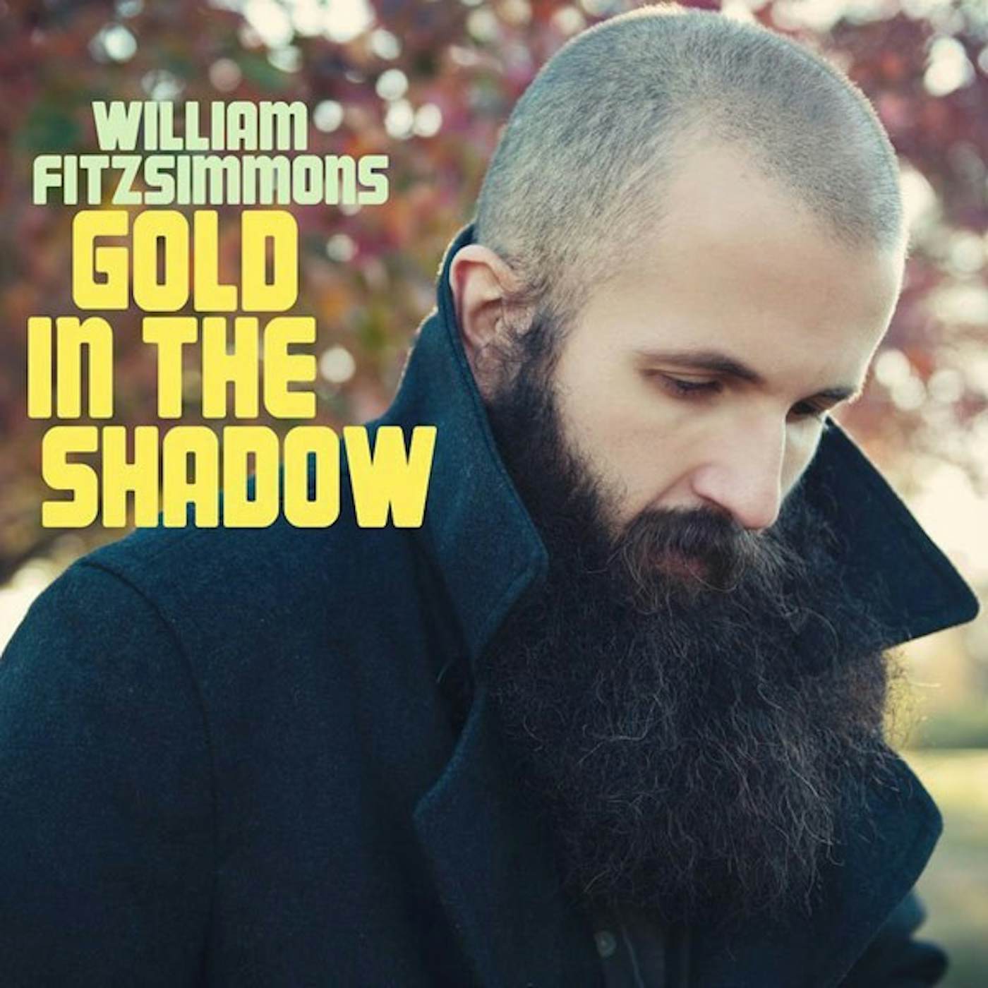 William Fitzsimmons Gold In The Shadow Vinyl Record