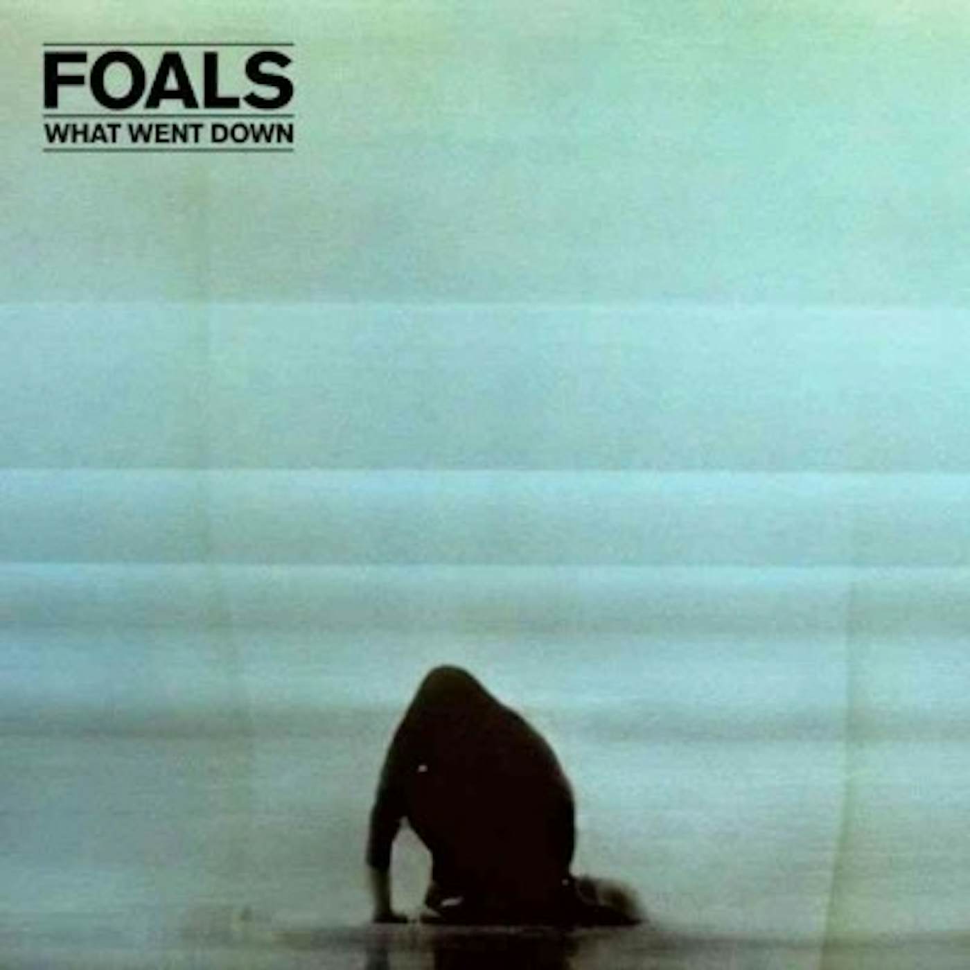 Foals What Went Down Vinyl Record