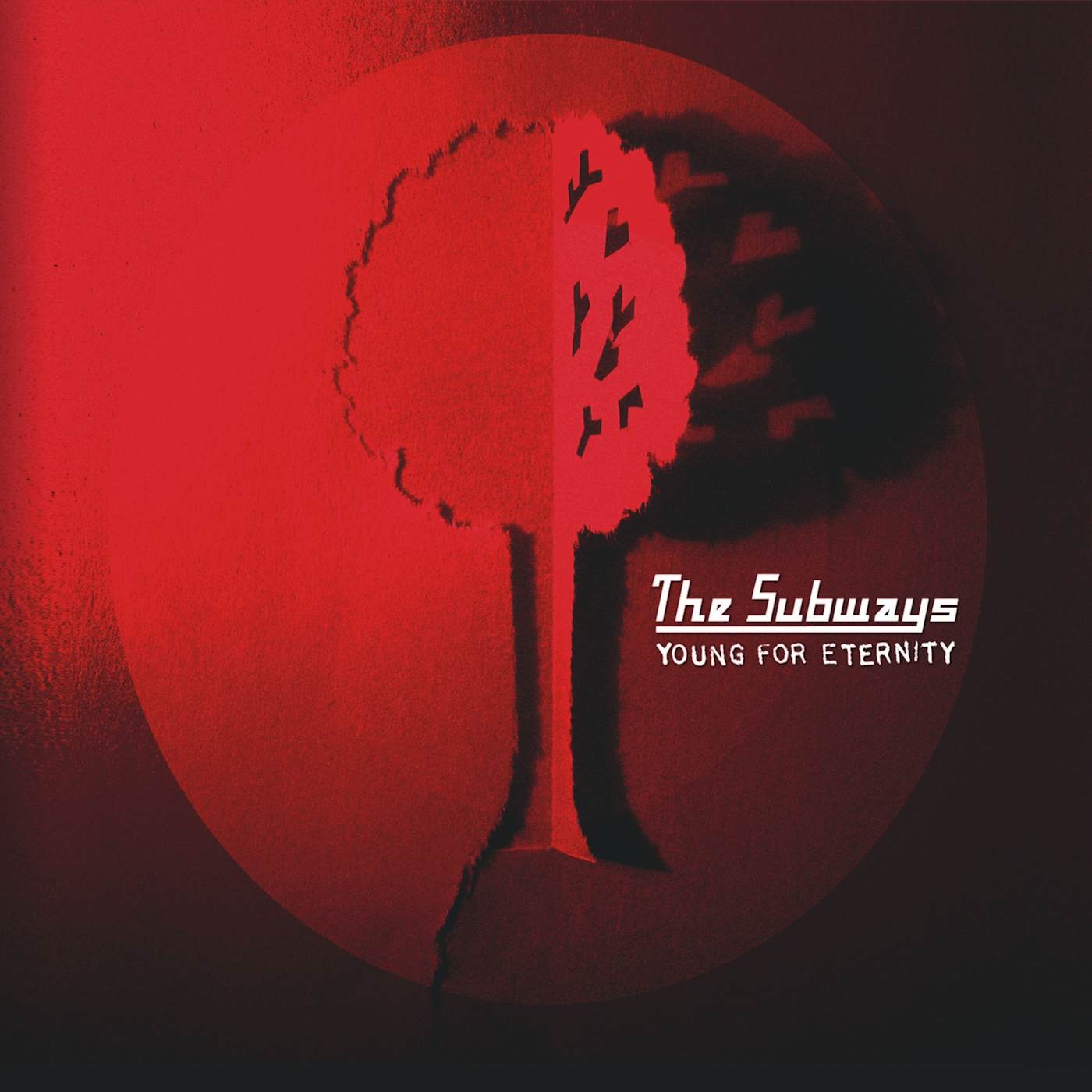The Subways Young For Eternity Vinyl Record