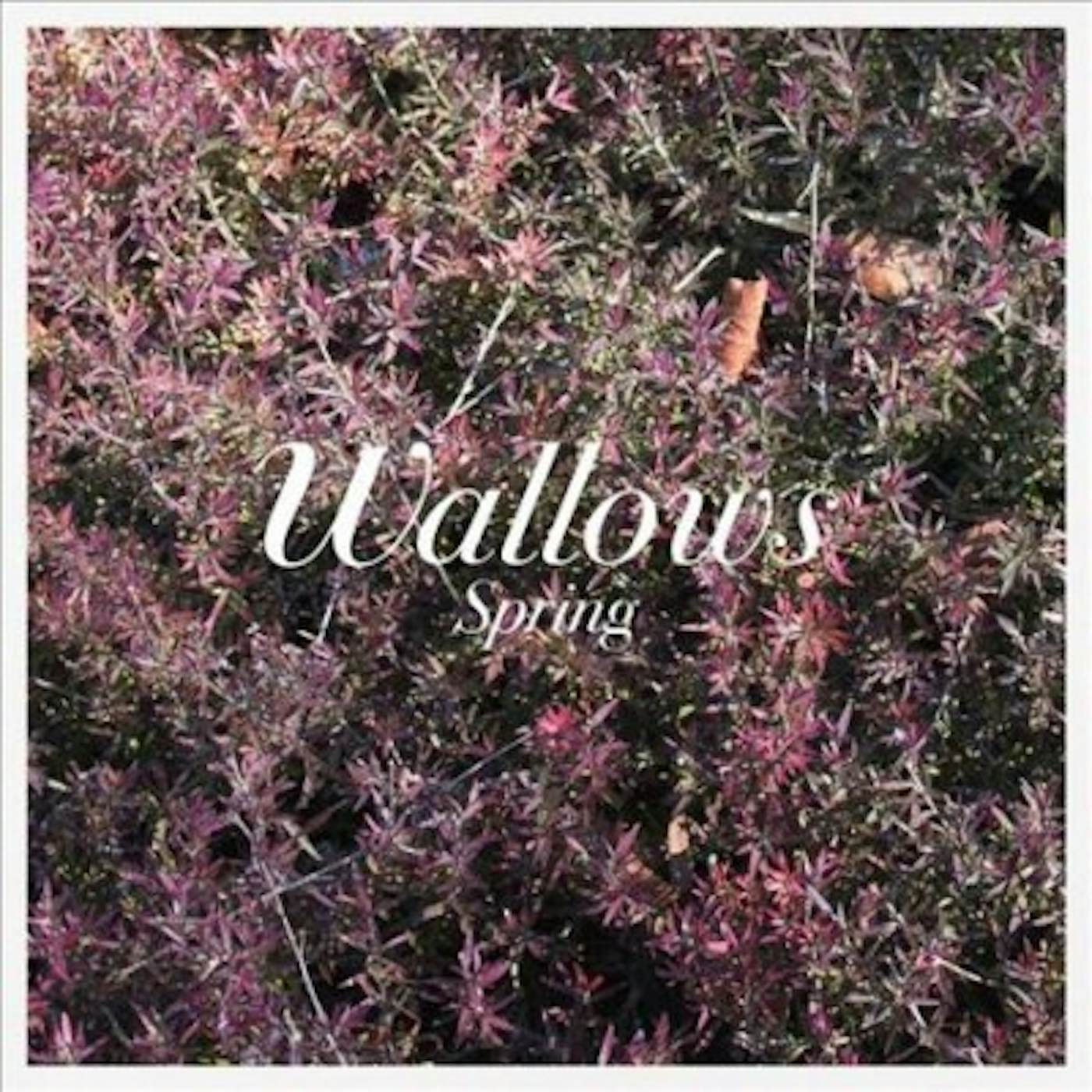 Wallows Spring EP (Pink & Green) Vinyl Record