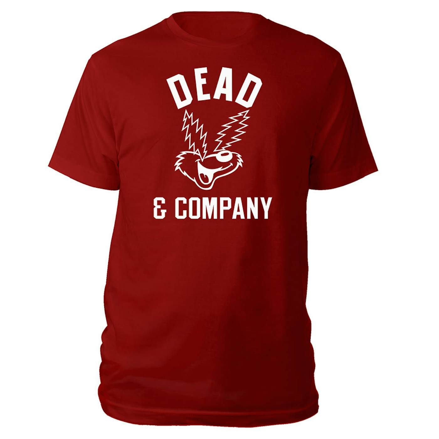 dead and company 2019 shirt