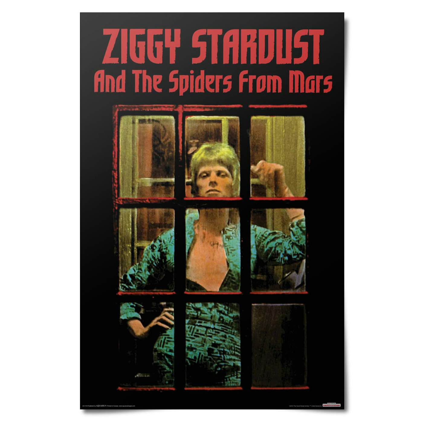 David Bowie Ziggy Stardust Poster
