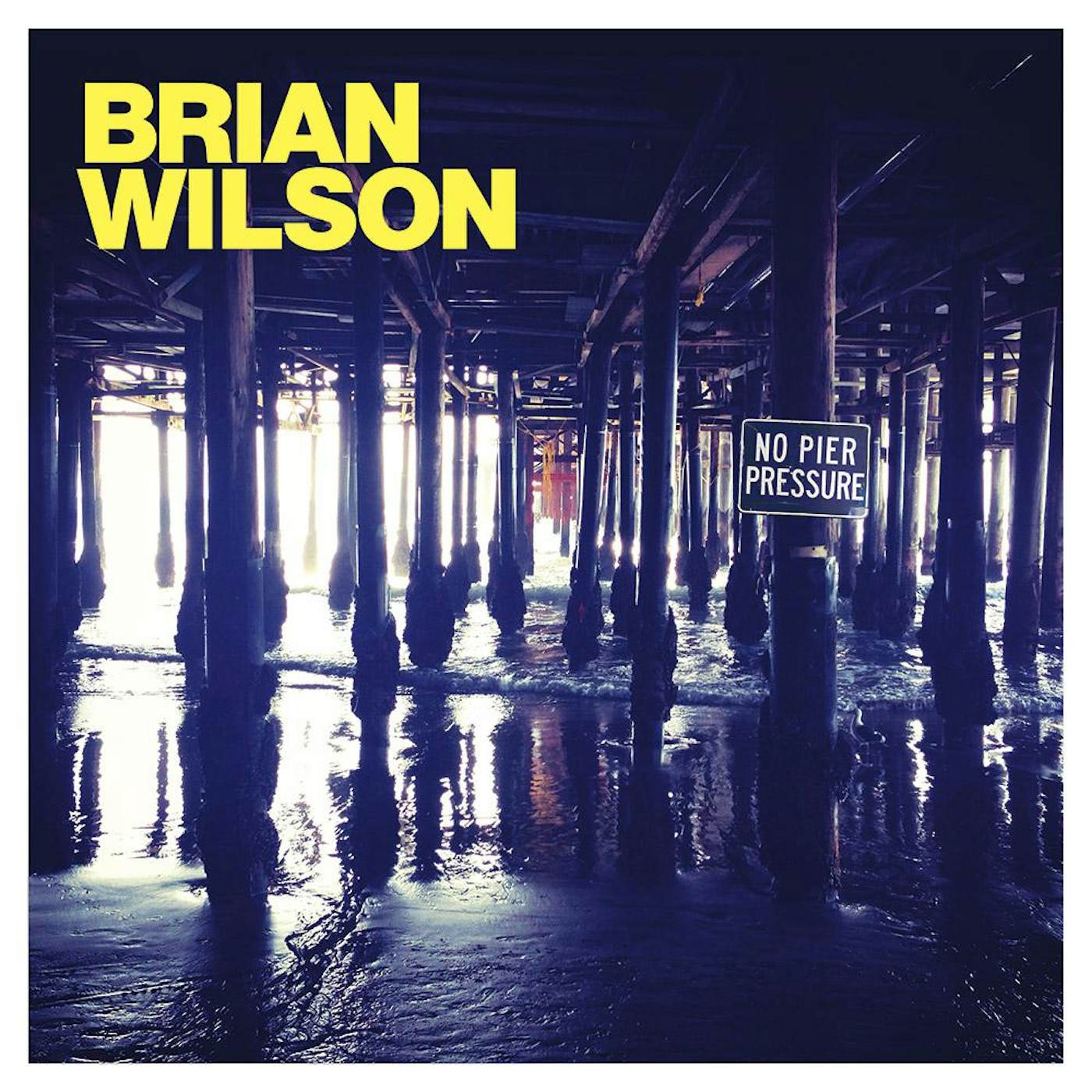 Brian Wilson Deluxe No Pier Pressure CD