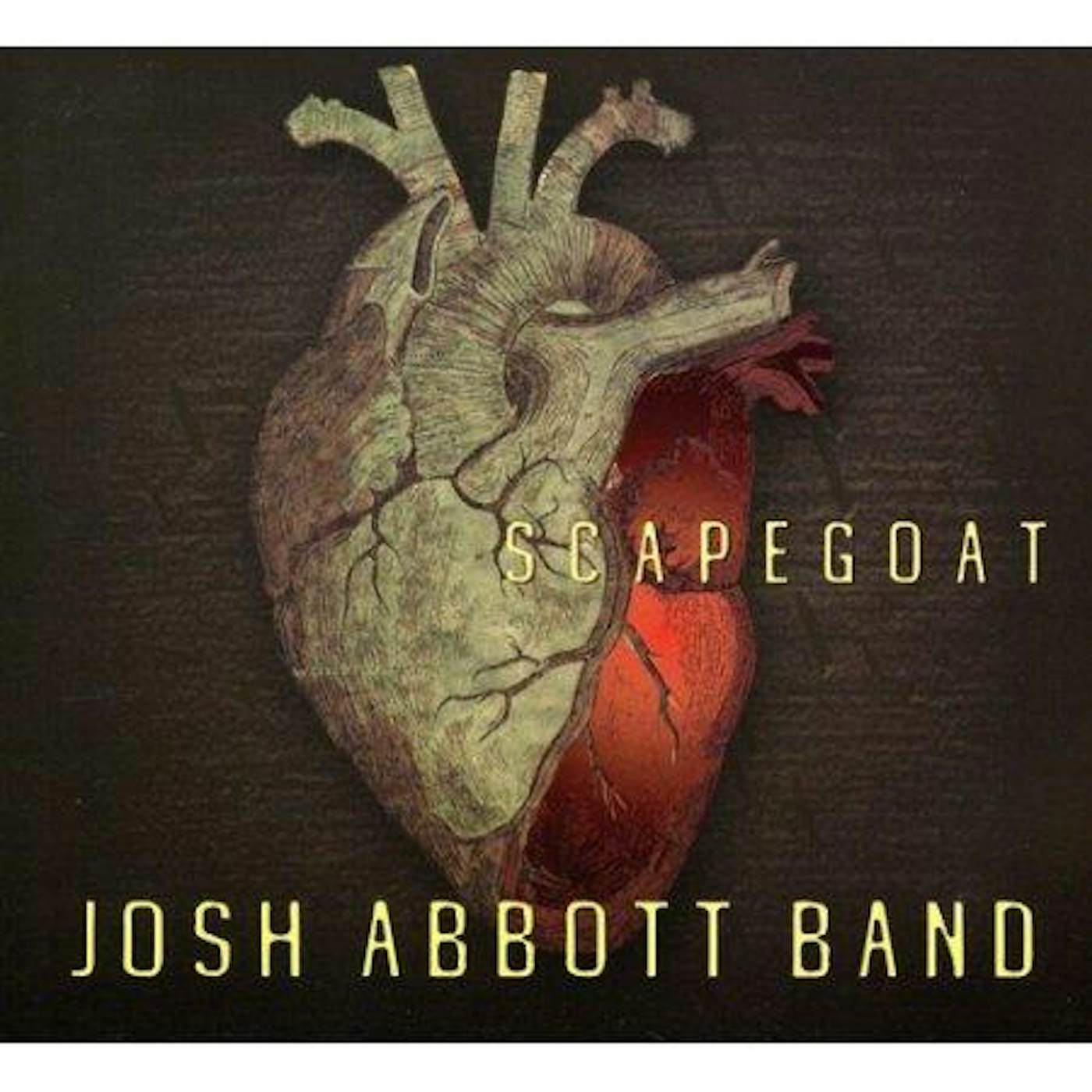 Josh Abbott Band JAB Scapegoat CD