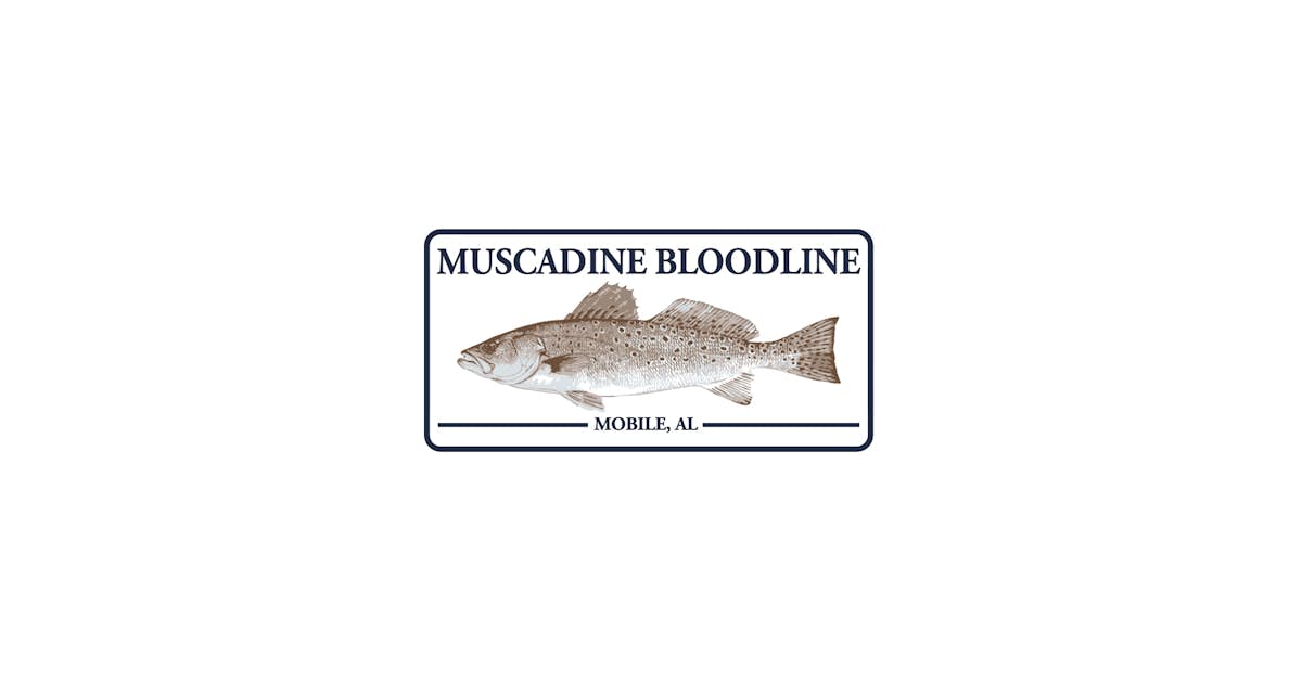 Fish Bumper Sticker – 49 Winchester