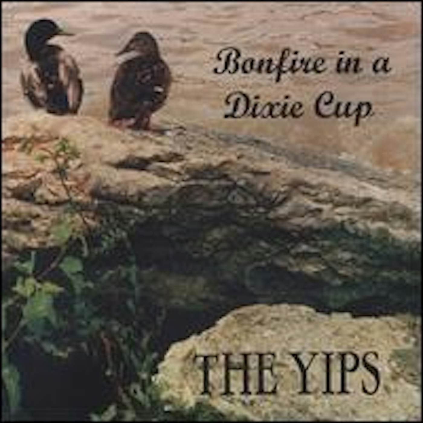 The Yips Bonfire In A Dixie Cup Vinyl Record