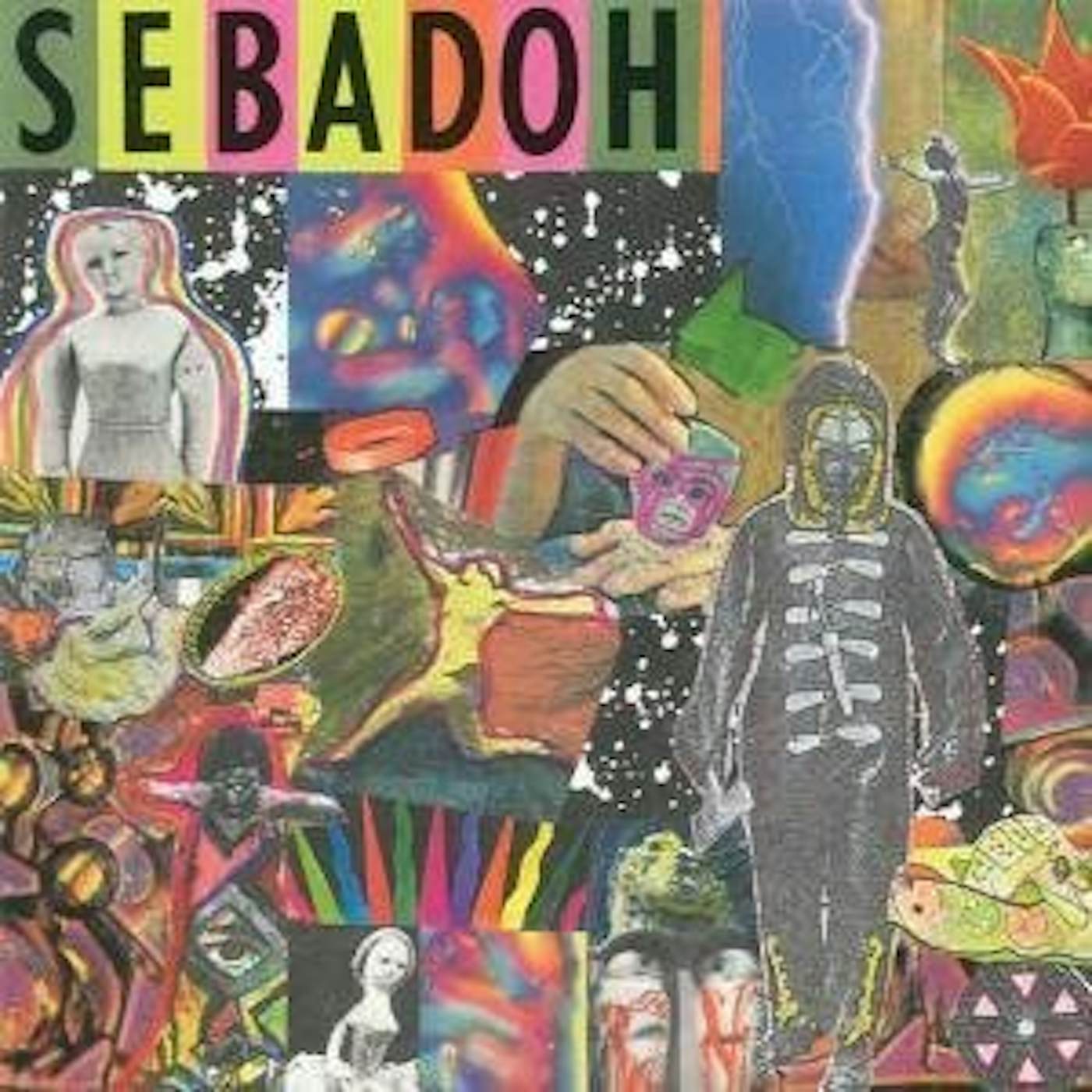 Sebadoh SMASH YOUR HEAD ON THE PUNK ROCK CD