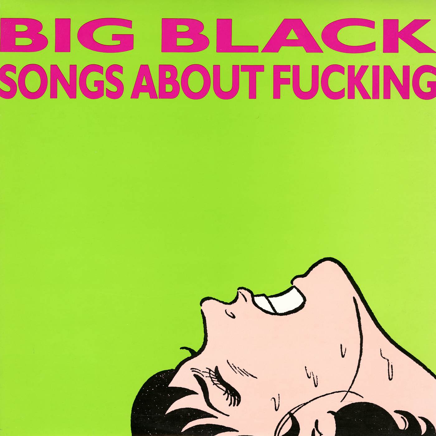 Big Black Songs About Fucking Vinyl Record