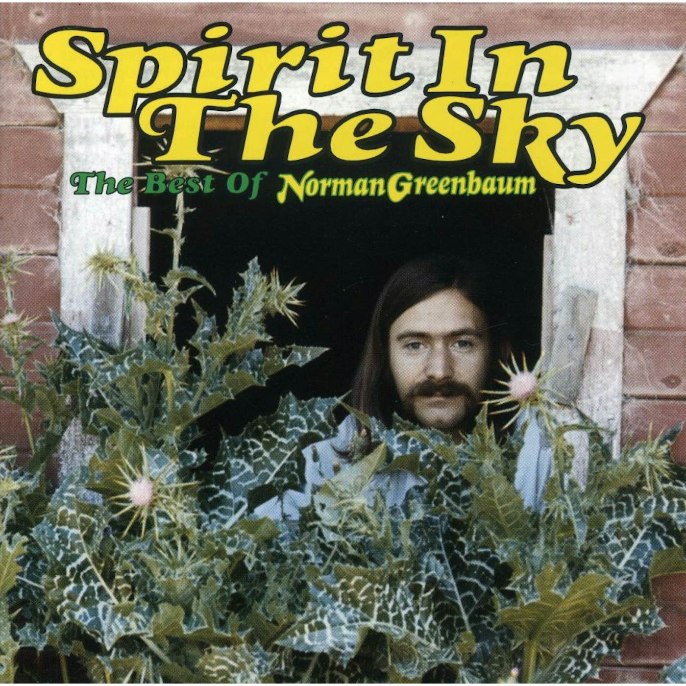 Norman Greenbaum SPIRIT IN THE SKY: BEST OF CD
