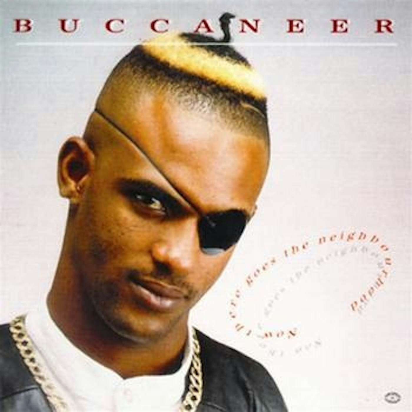 Buccaneer Now There Goes The Neighbourhood Vinyl Record