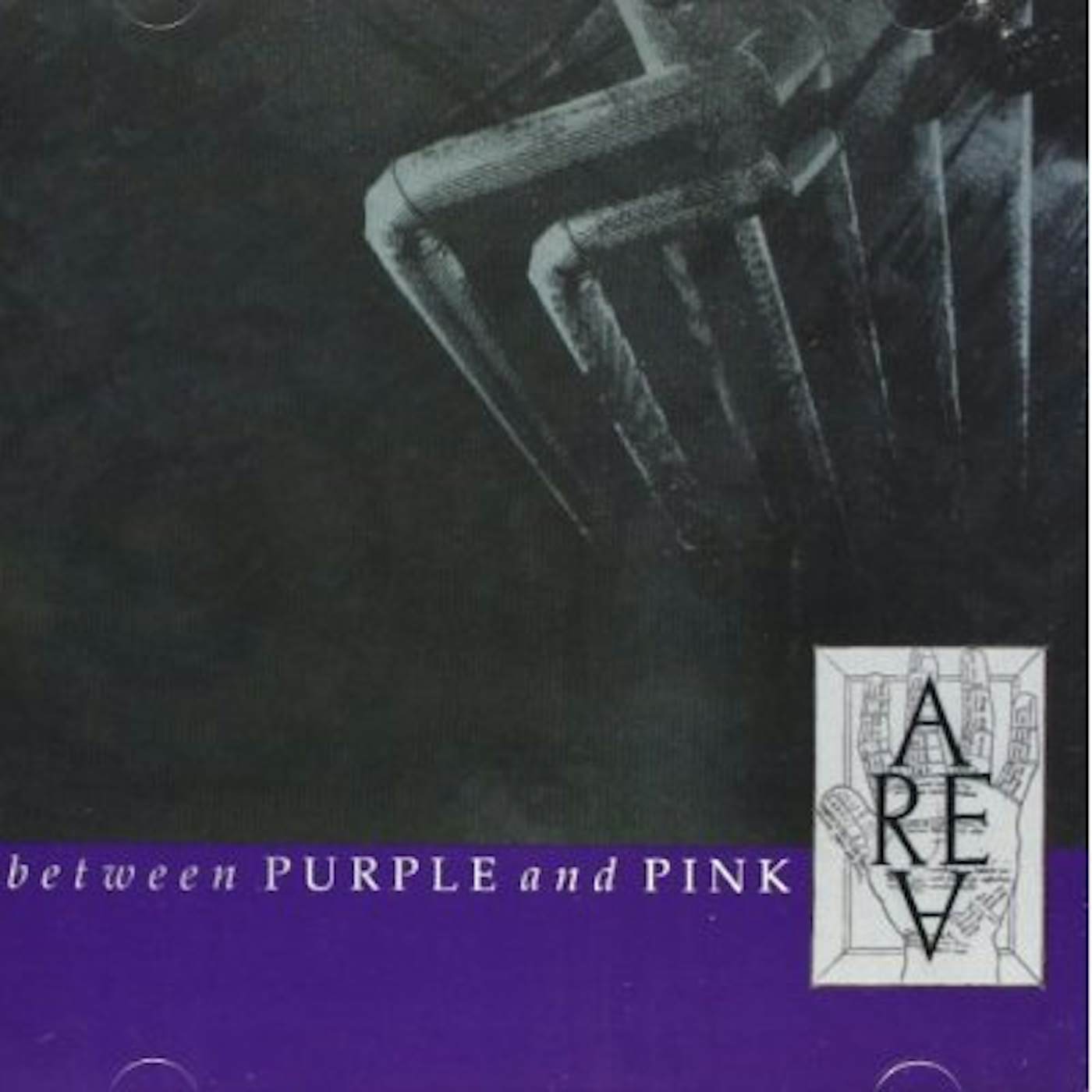 Area BETWEEN PURPLE & PINK CD