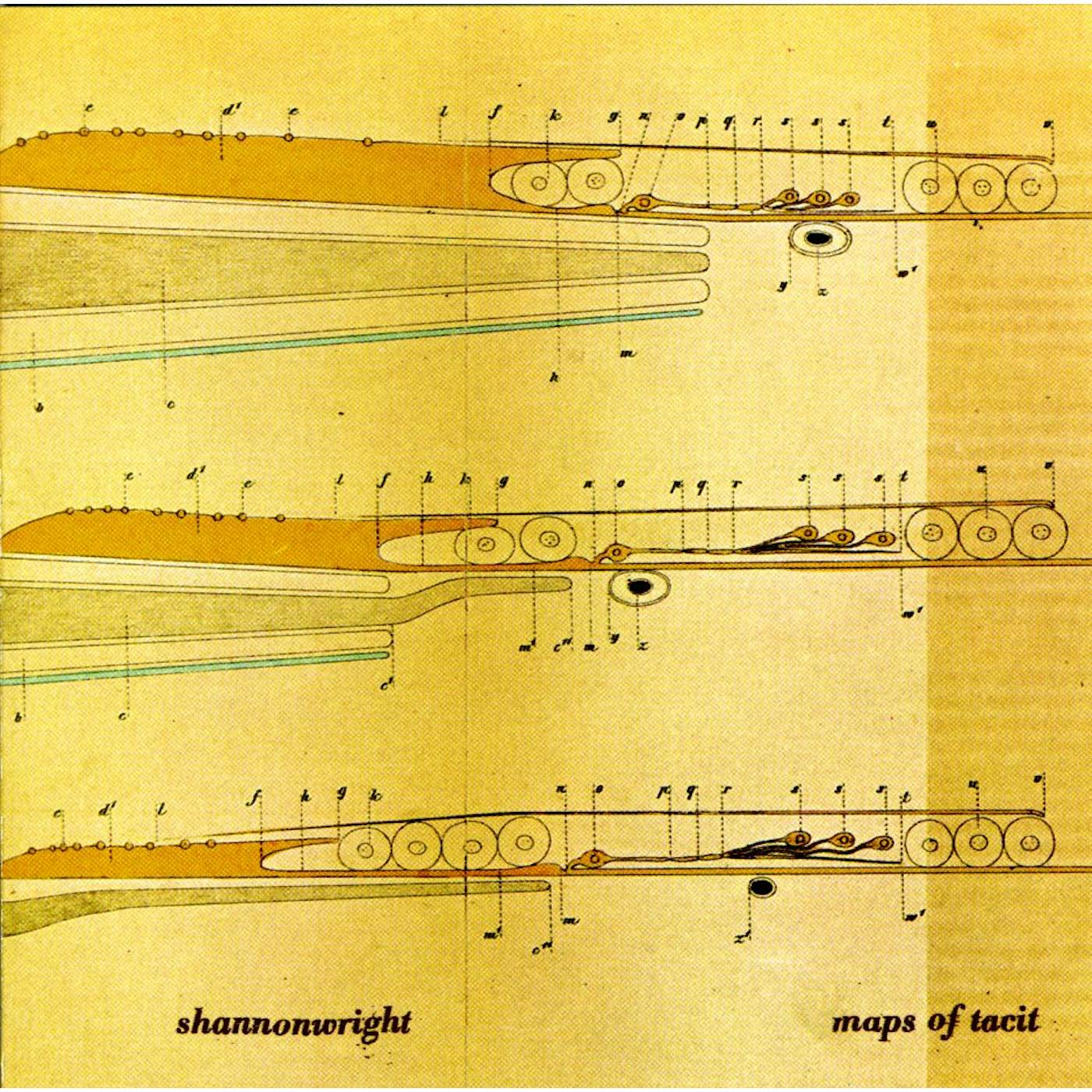 Shannon Wright MAPS OF TACIT CD