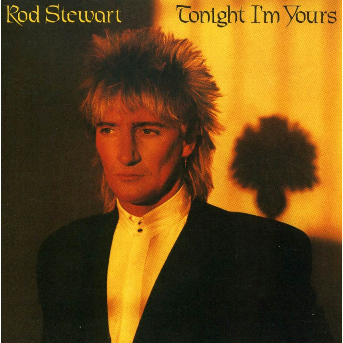 Rod Stewart TONIGHT I'M YOURS CD