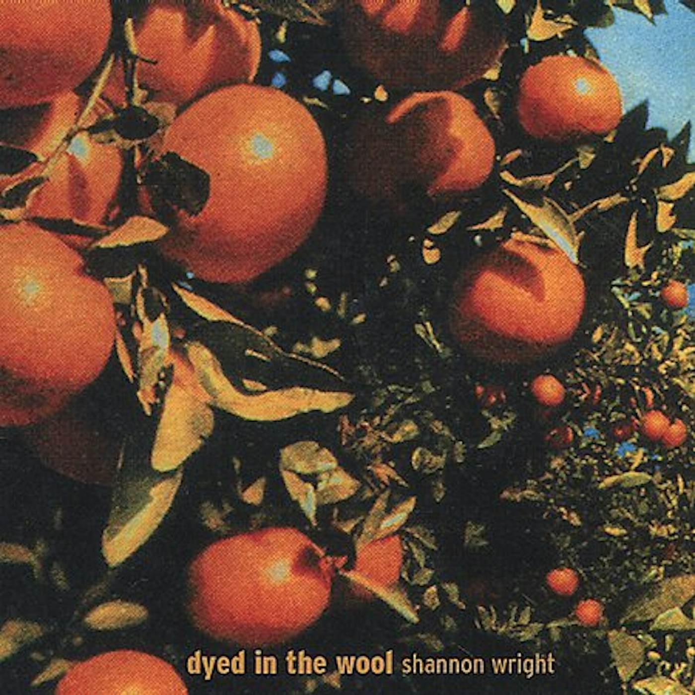 Shannon Wright DYED IN THE WOOL CD