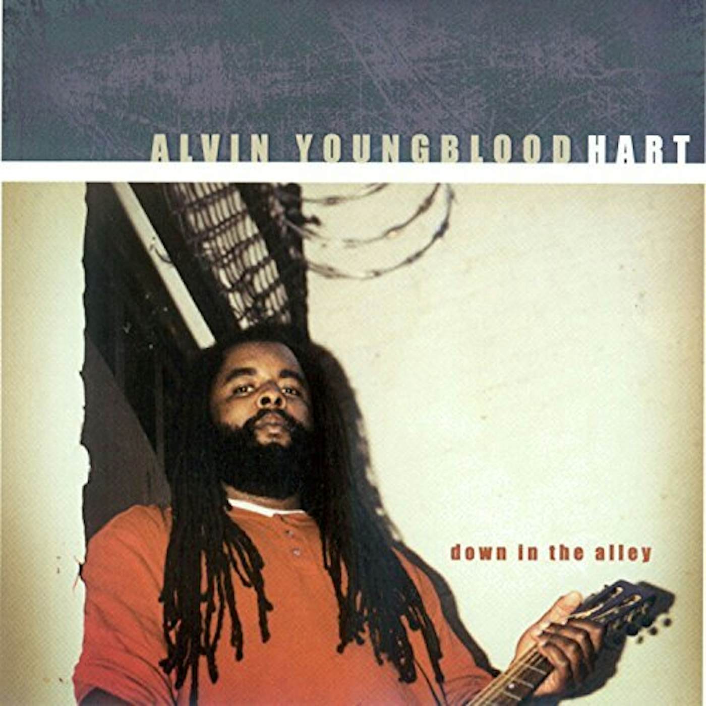 Alvin Youngblood Hart DOWN IN THE ALLEY CD
