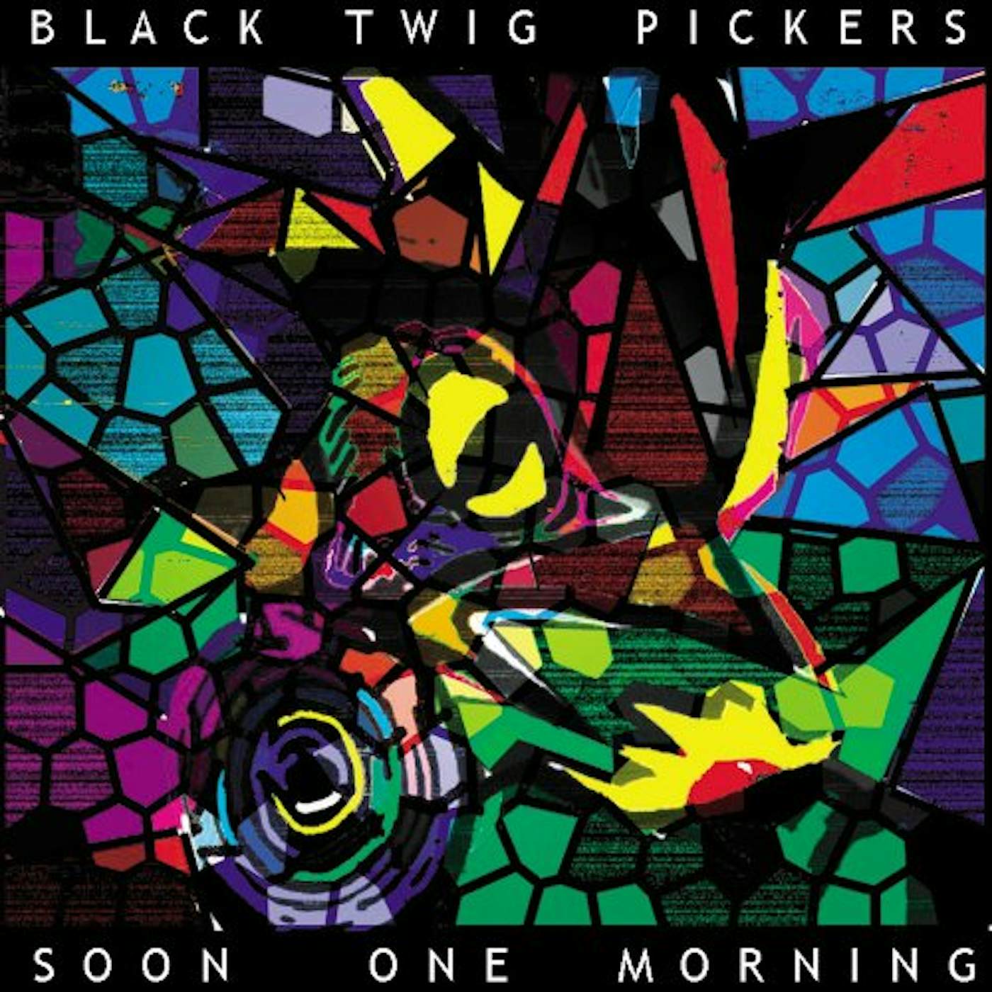 Black Twig Pickers SOON ONE MORNING CD