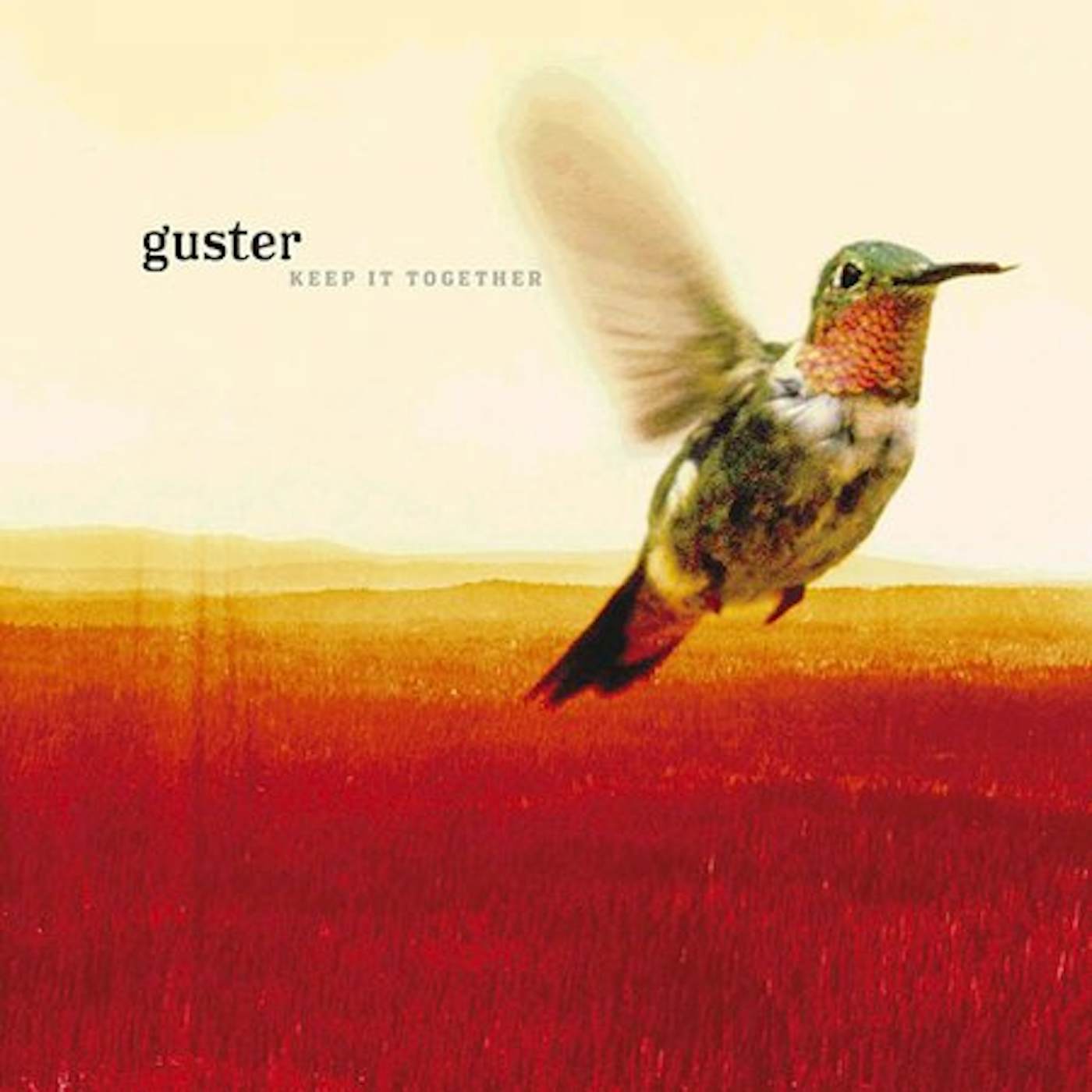 Guster KEEP IT TOGETHER CD