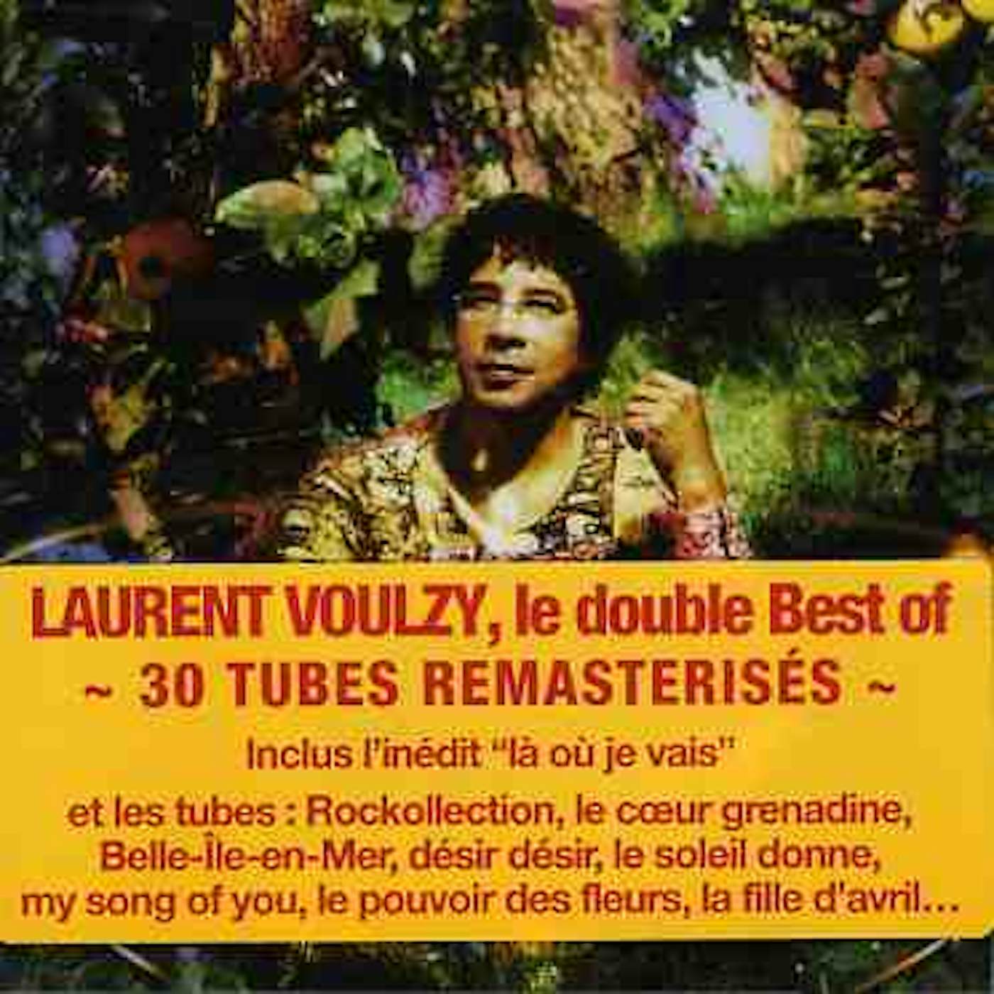 Laurent Voulzy SAISONS: BEST OF CD
