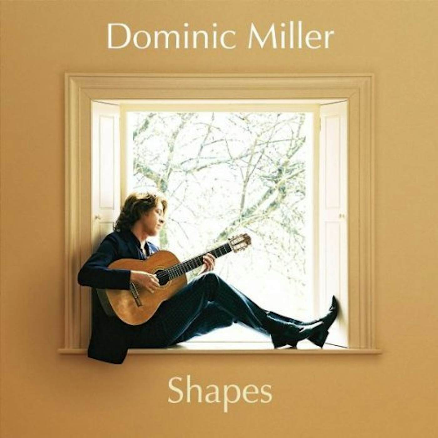 Dominic Miller SHAPES CD