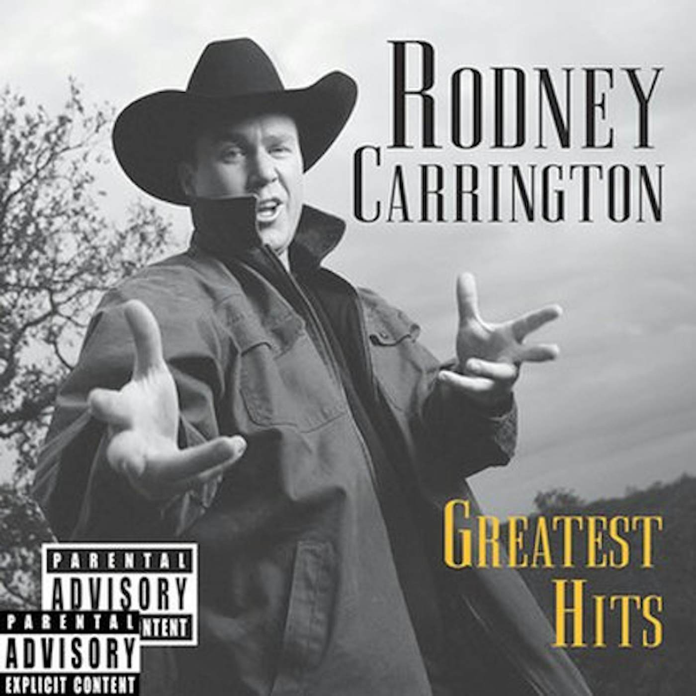 Rodney Carrington GREATEST HITS CD