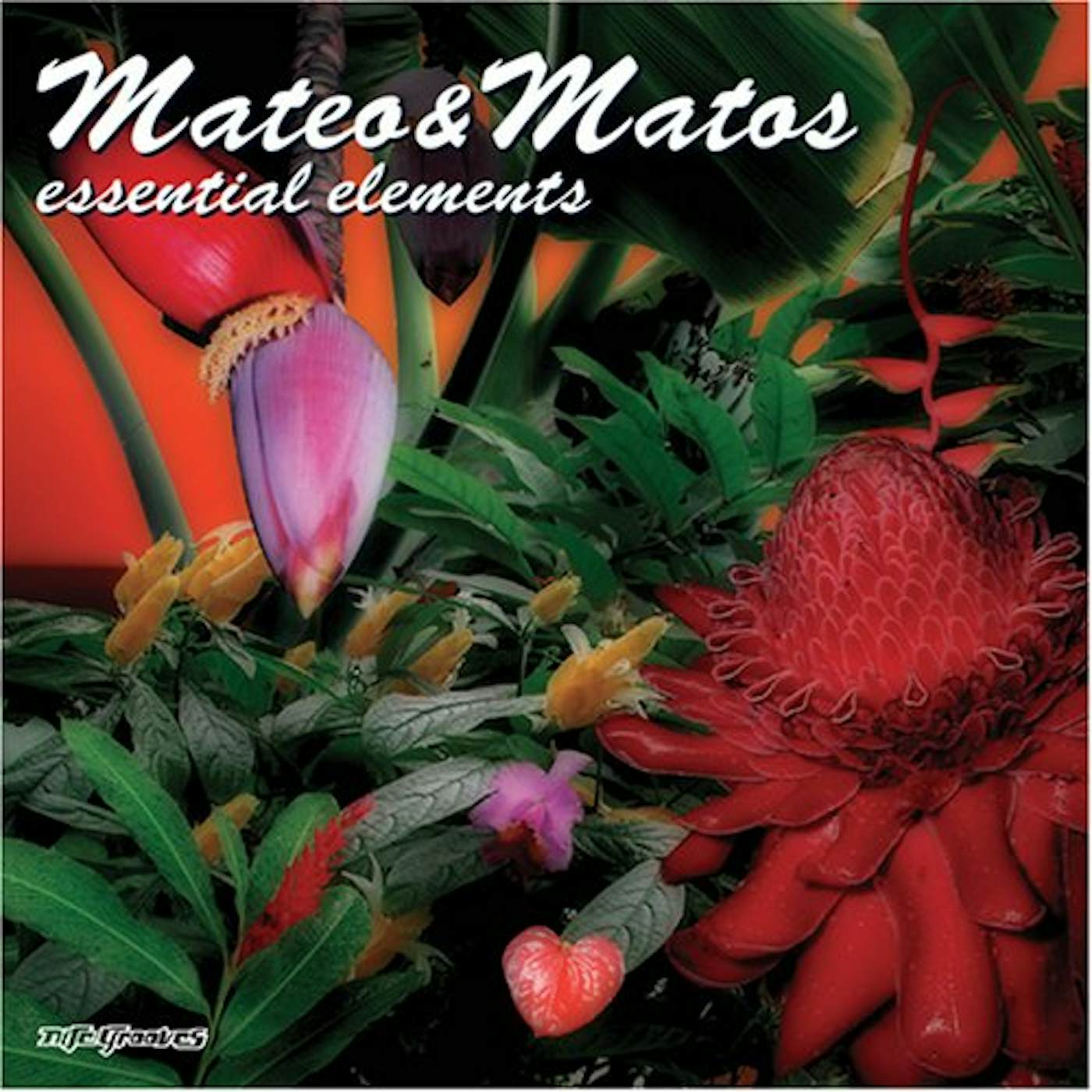 Mateo & Matos ESSENTIAL ELEMENTS CD