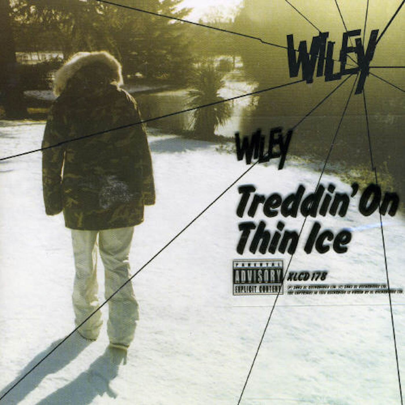 Wiley TREDDIN ON THIN ICE CD