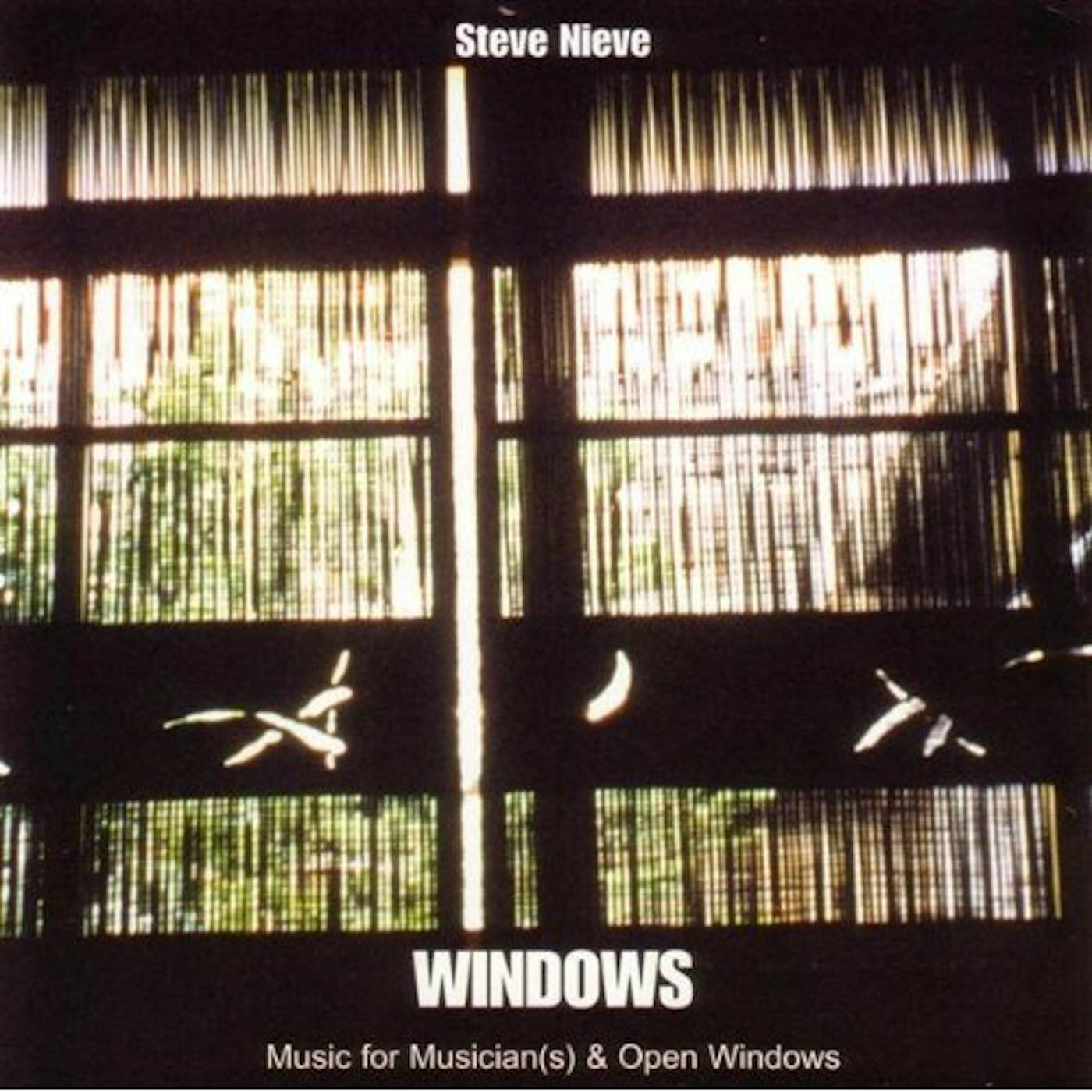 Steve Nieve WINDOW CD