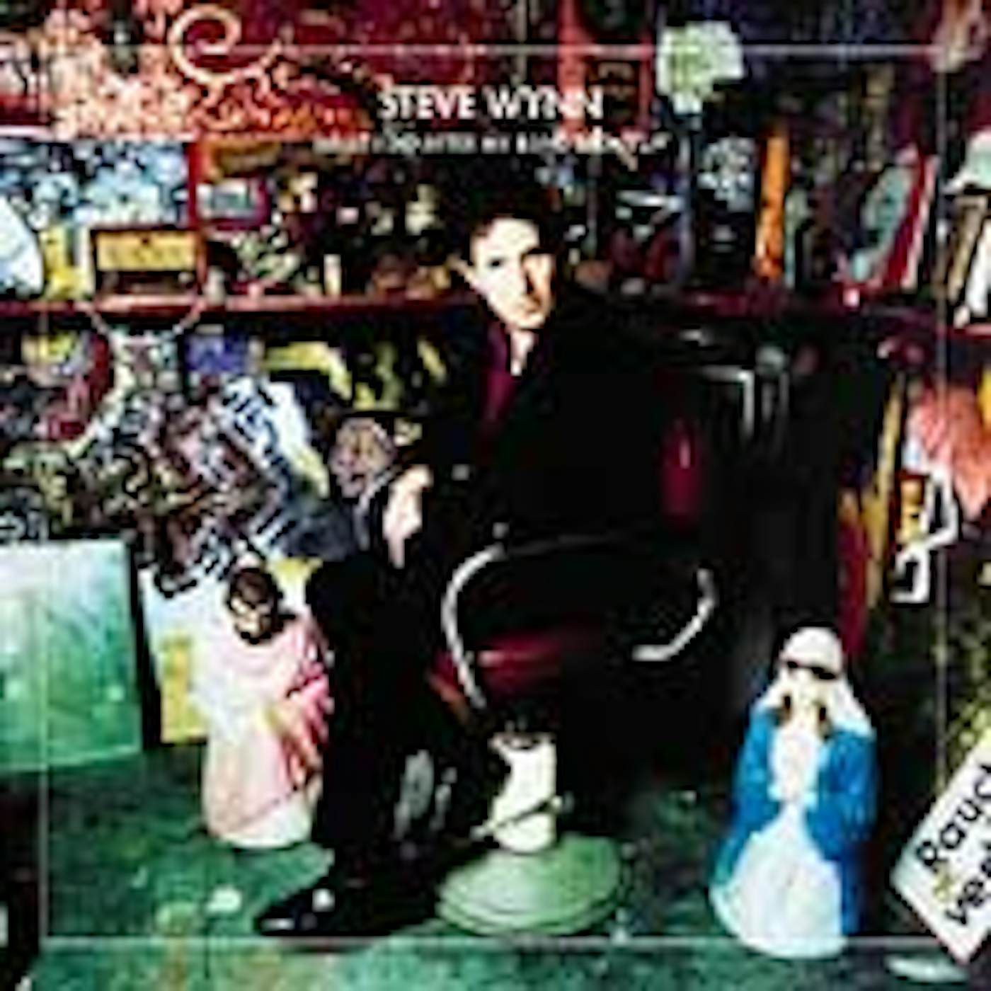 Steve Wynn WHAT I DID AFTER MY BAND BROKE UP: BEST OF STEVE CD