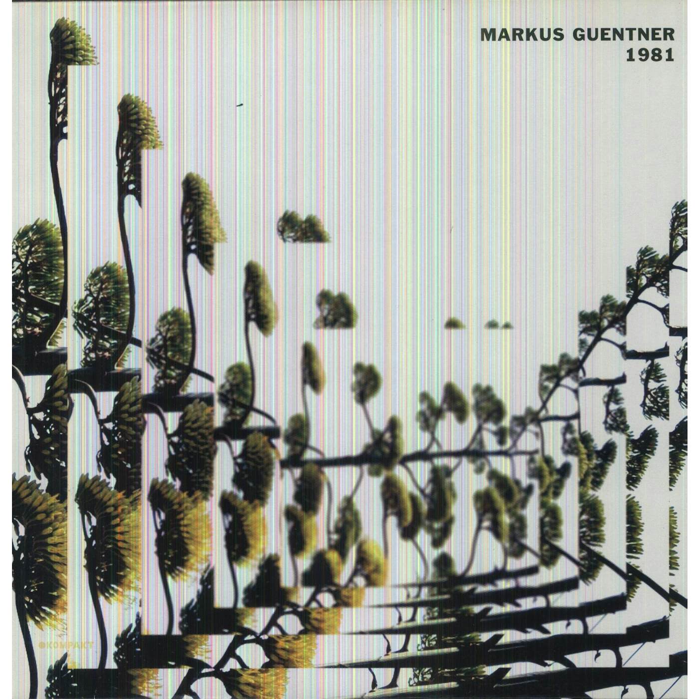 Markus Guentner 1981 Vinyl Record