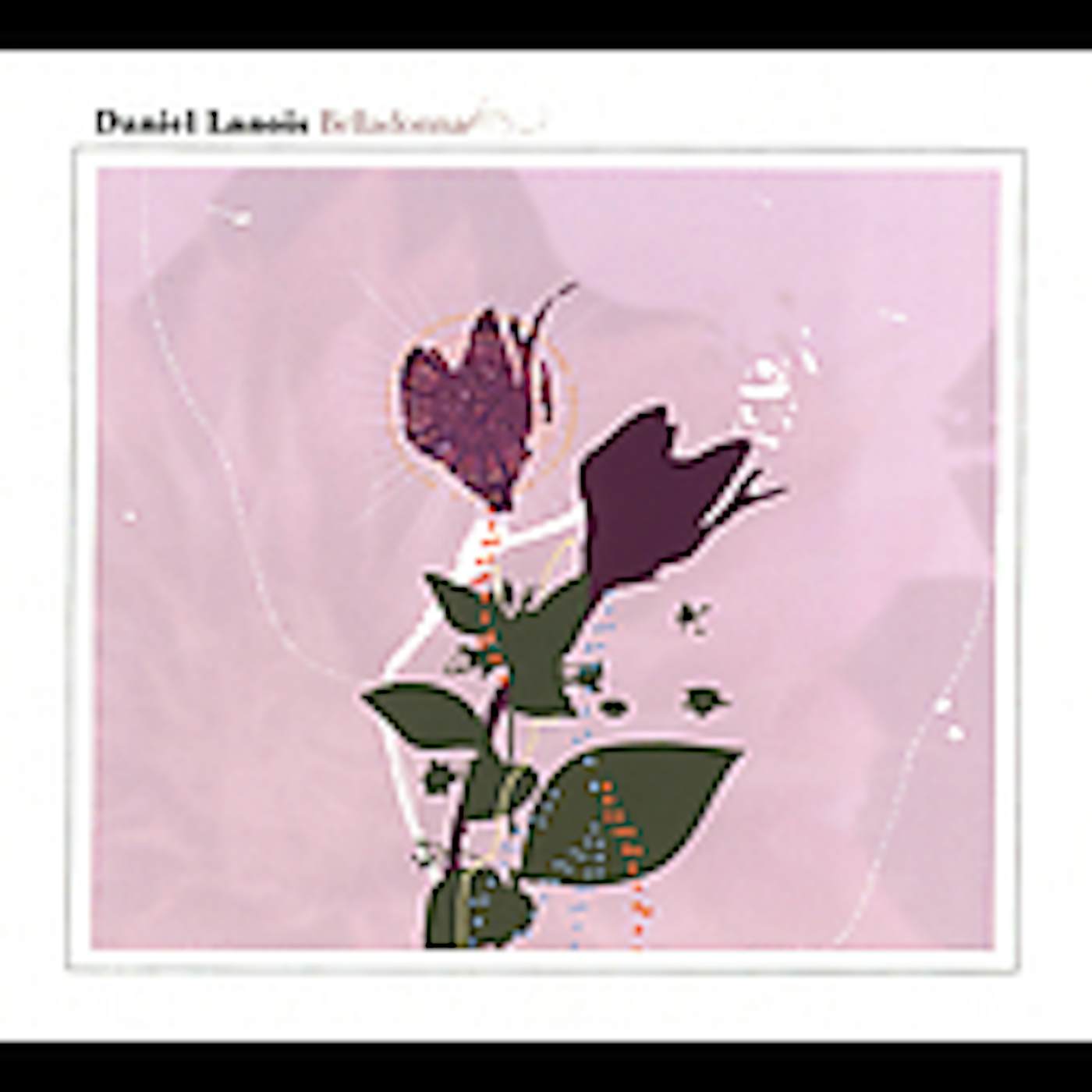 Daniel Lanois BELLADONNA CD
